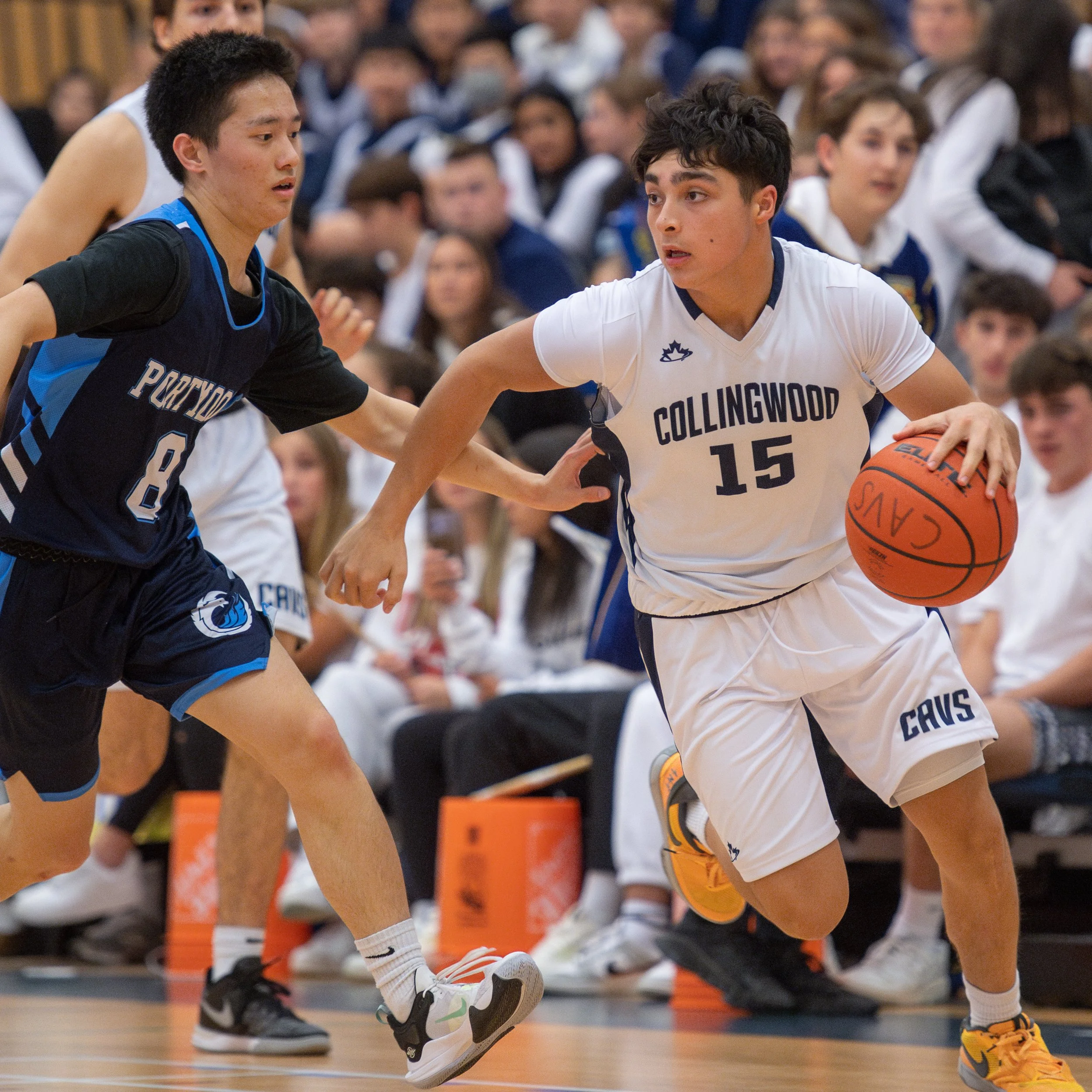Collingwood Crowd Carries Cavs over Blues