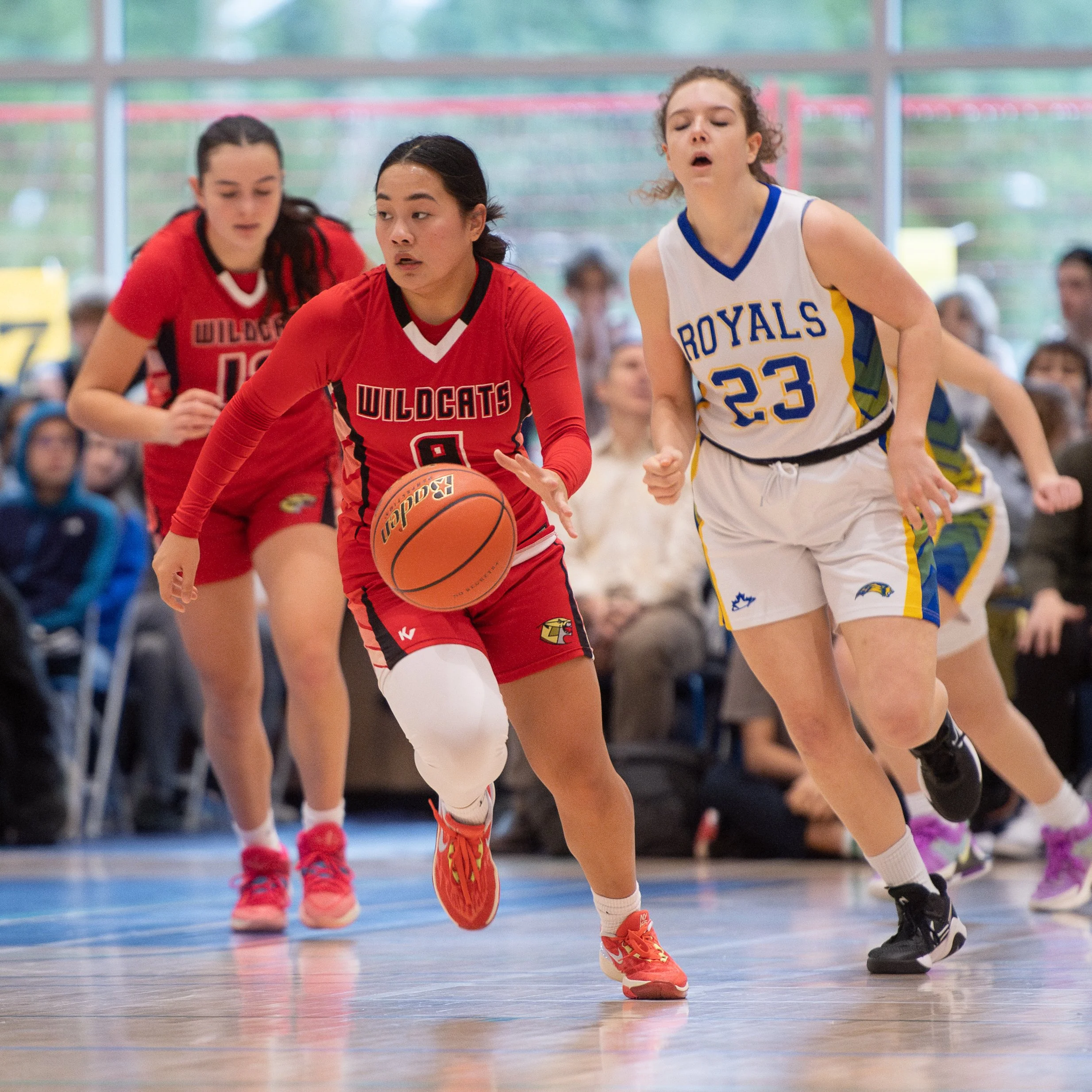 The Cats Show Their Wild Side