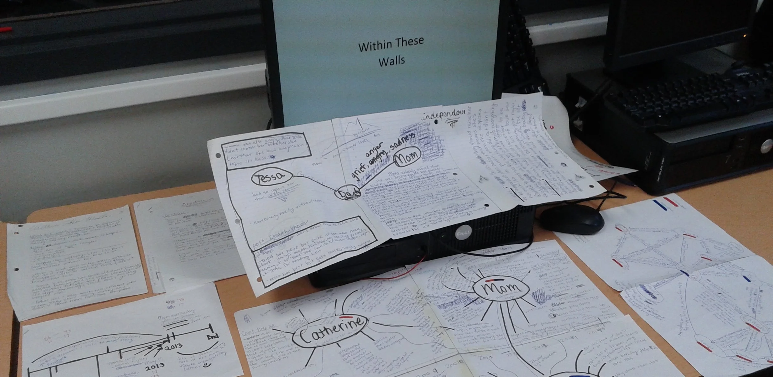 maia workflow.jpg