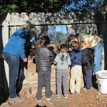 children exploring our worm bin with Naturalist Julie