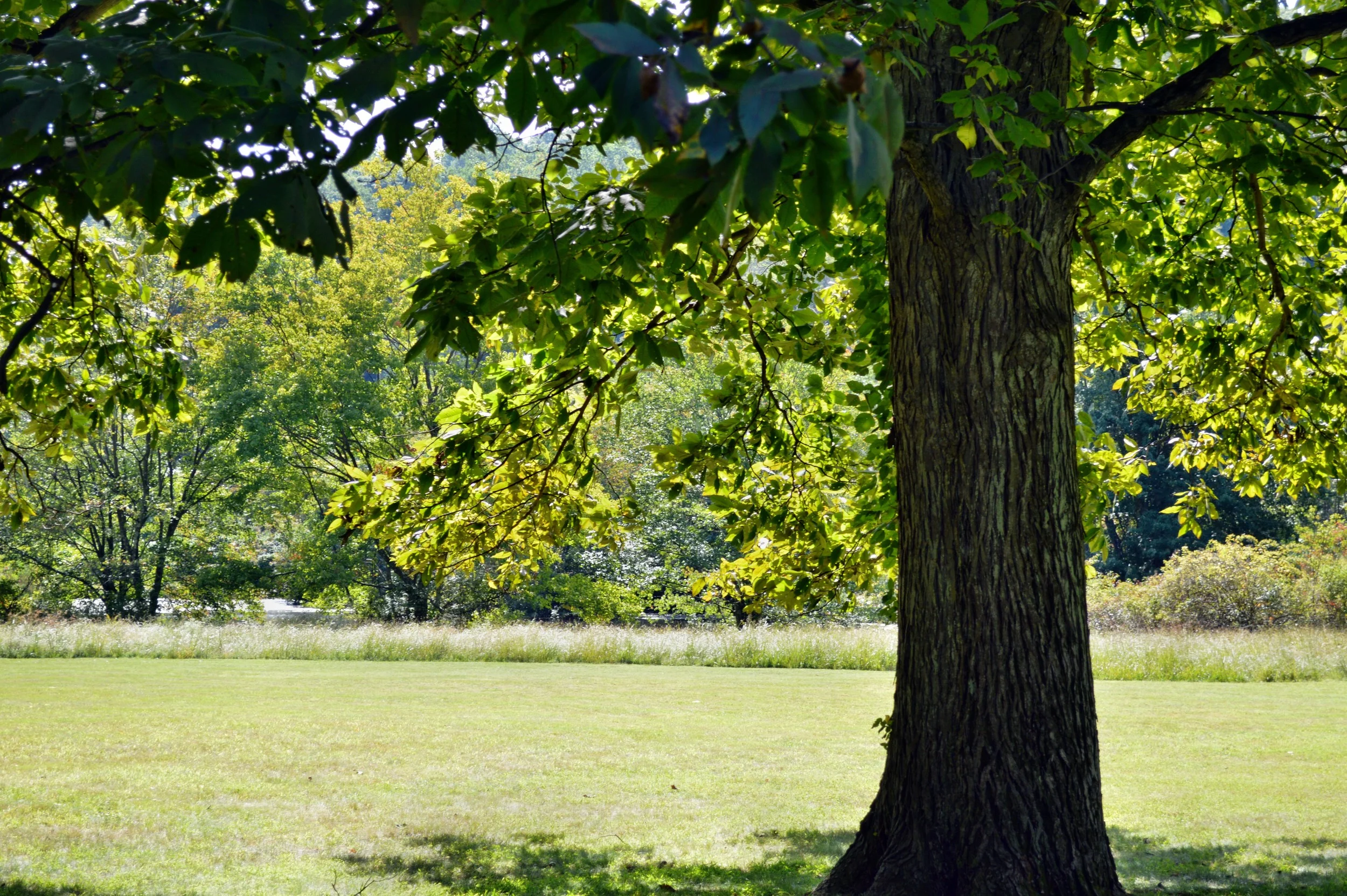 DSC_0135.jpg