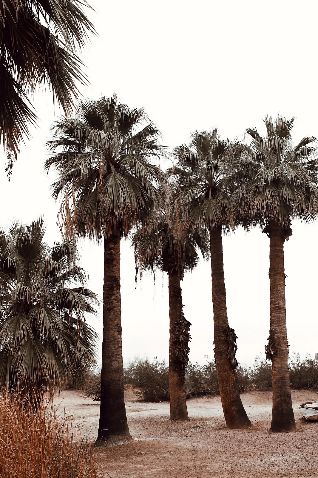 Papago Park