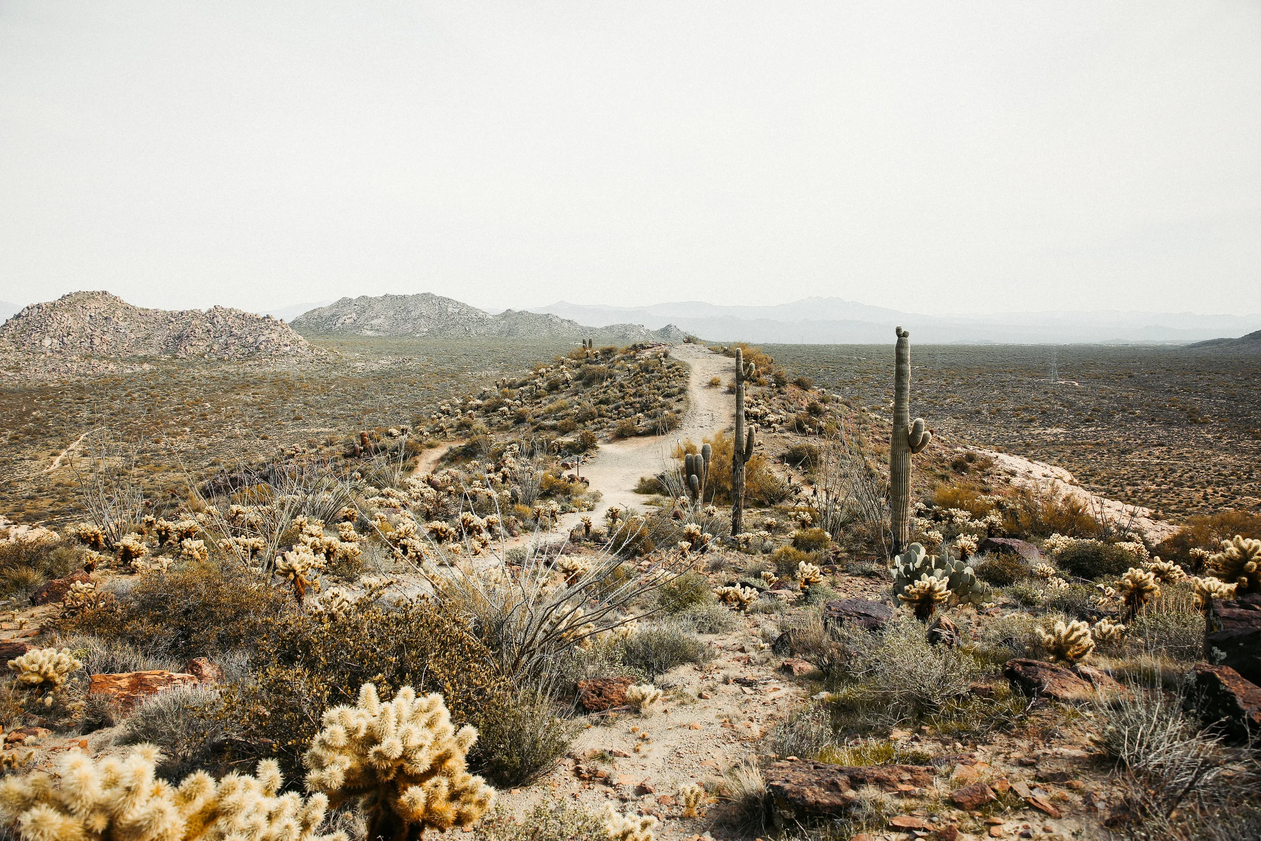 Brown's Trail, Phoenix.jpg