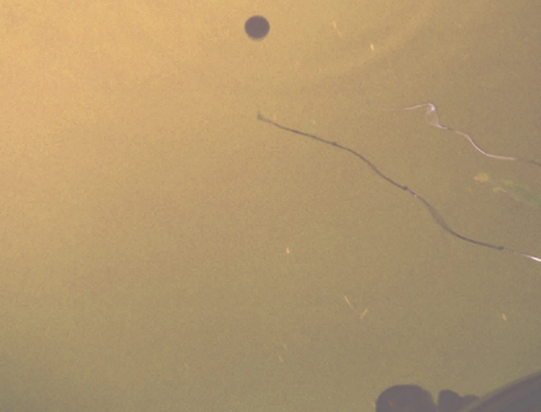 abstract_reflection copy.jpg