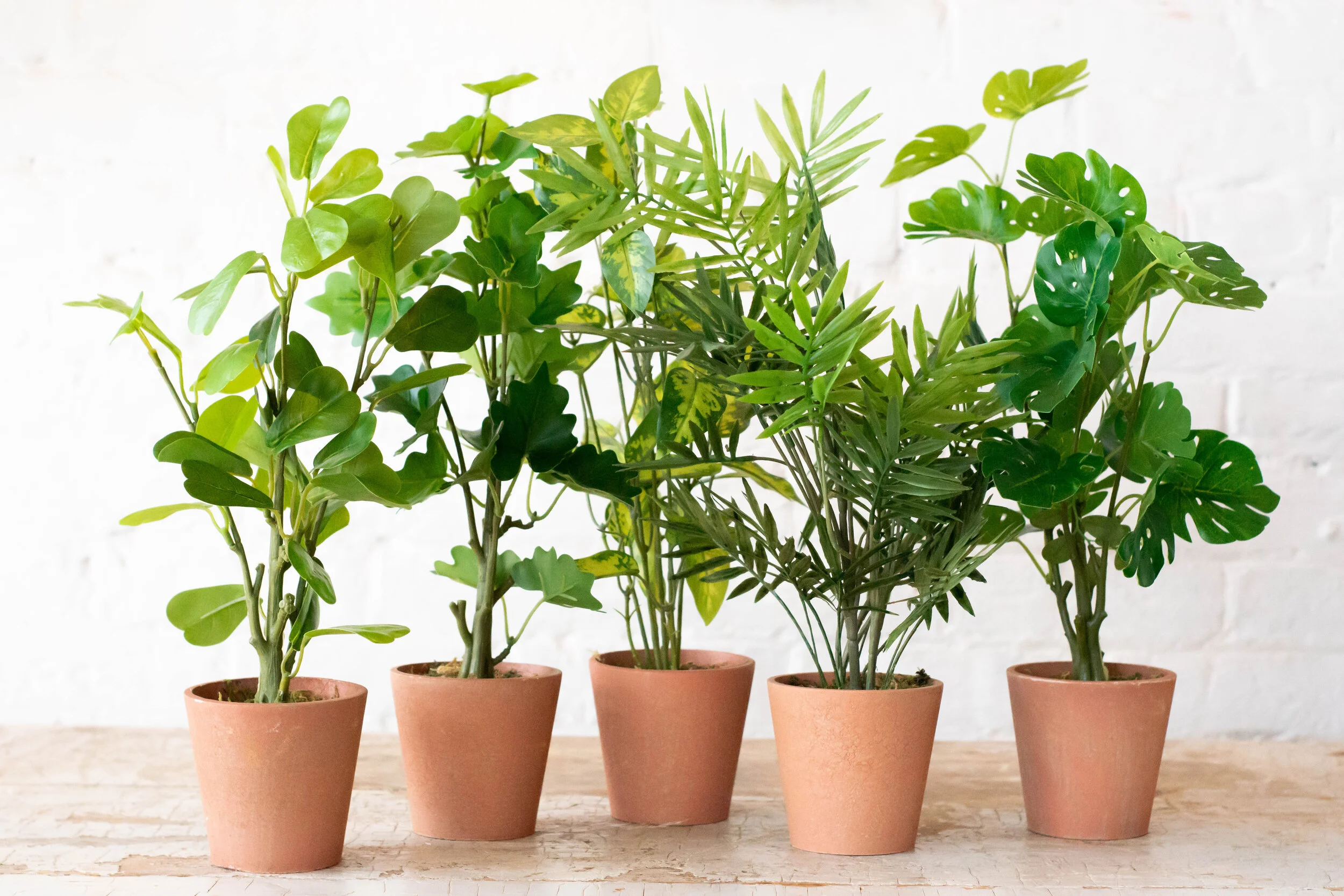 FAUXPOTTEDPLANTS-5.jpg