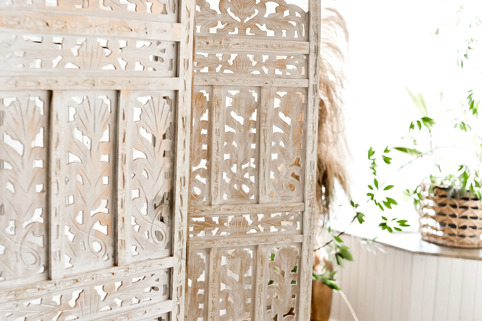 SOPHIA BACKDROP (1).jpg