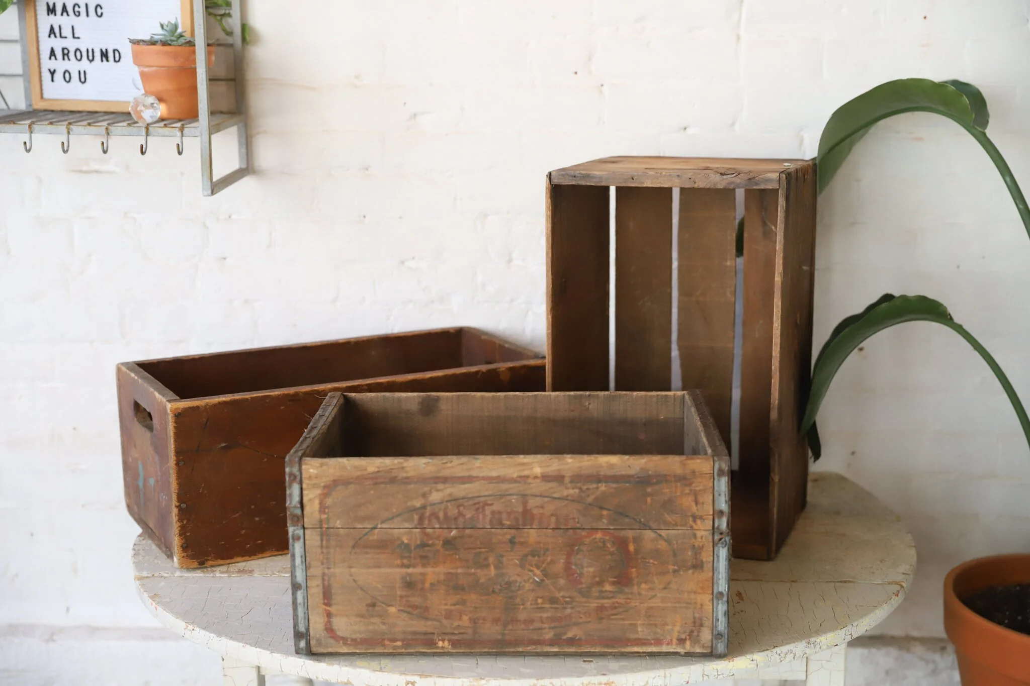 IMG_7180-3.jpg
