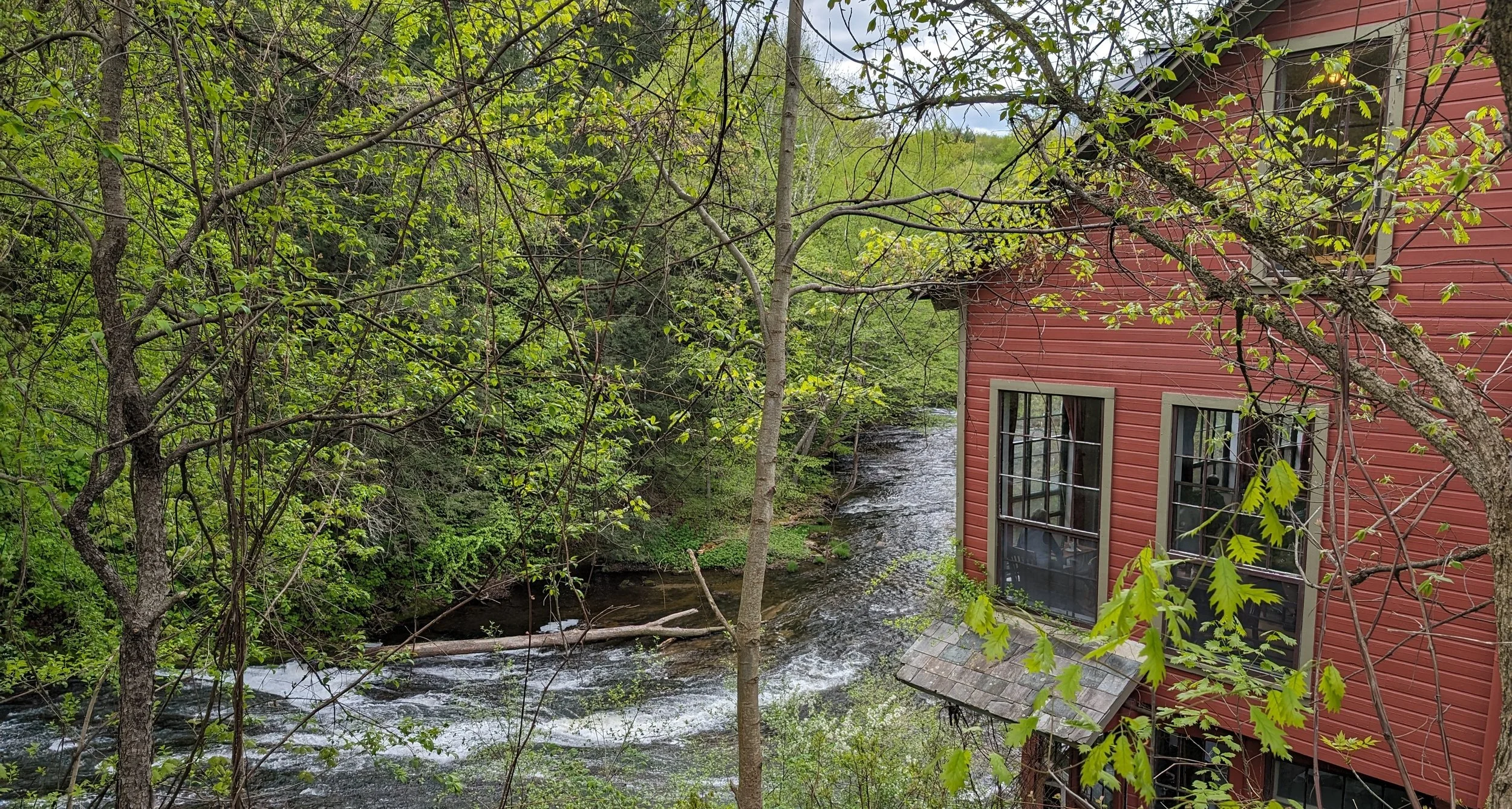 Bookmill Montague.jpg