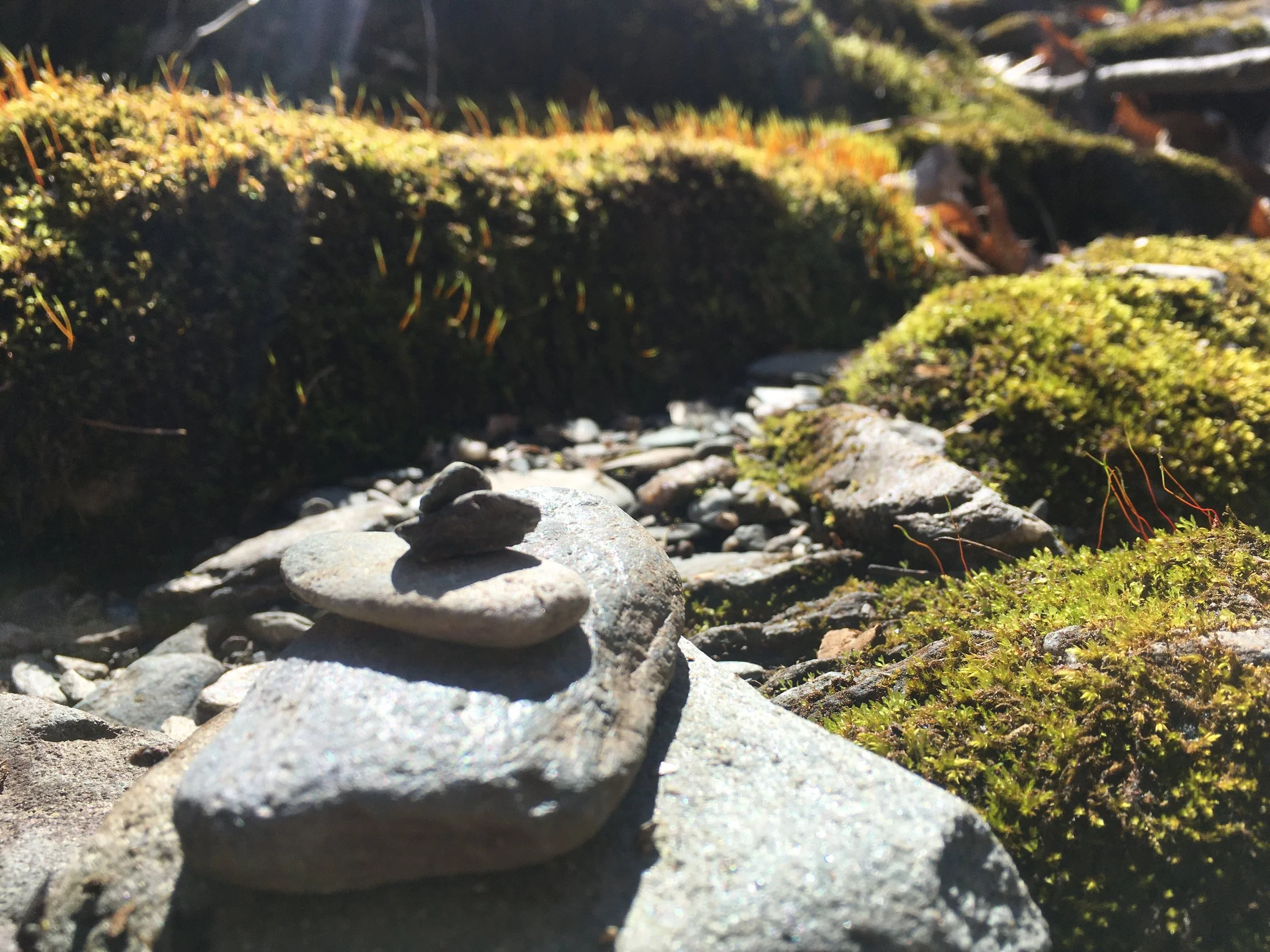 Holy Mount trail.jpeg