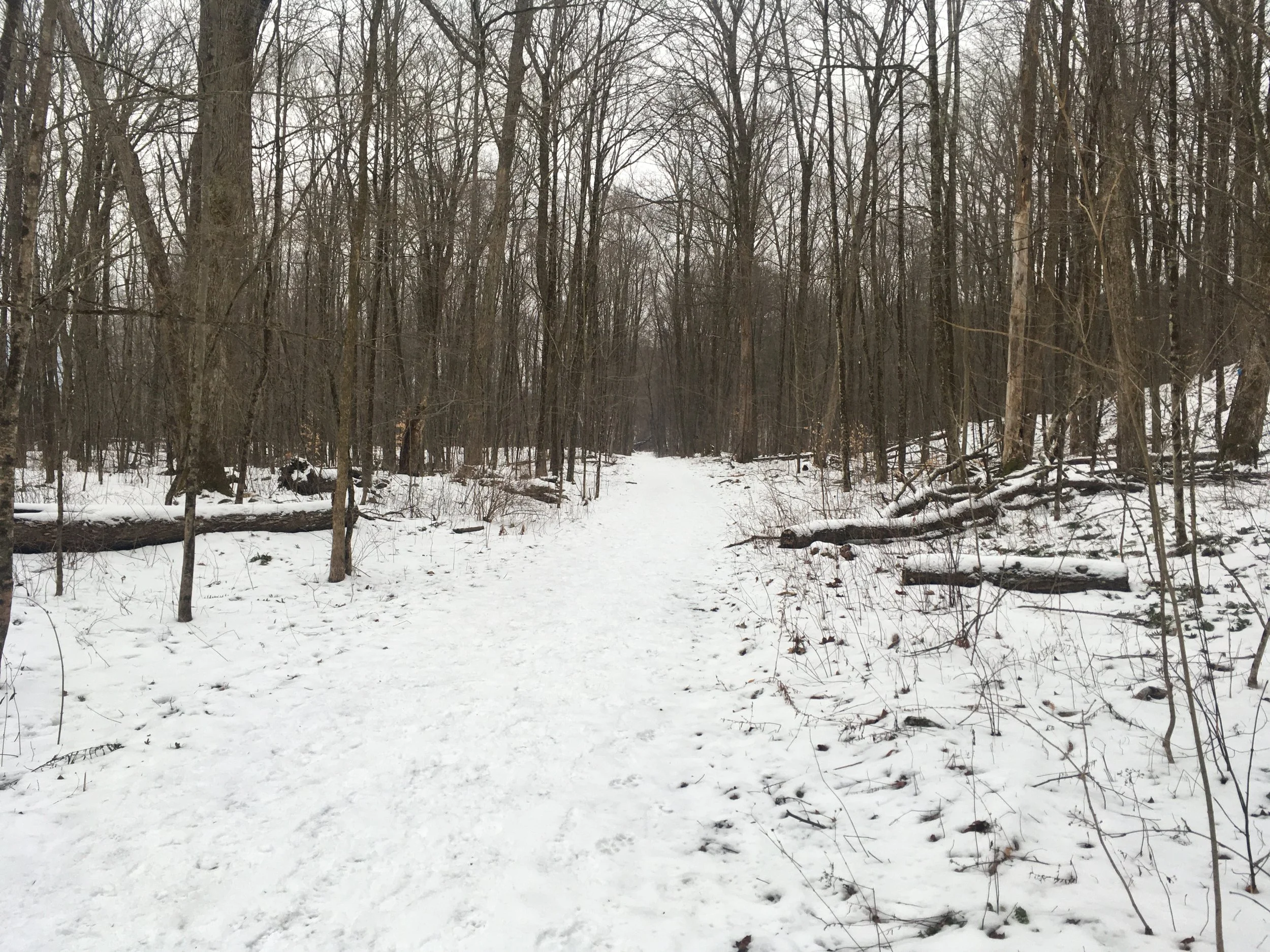 Wild Dharma Gathering