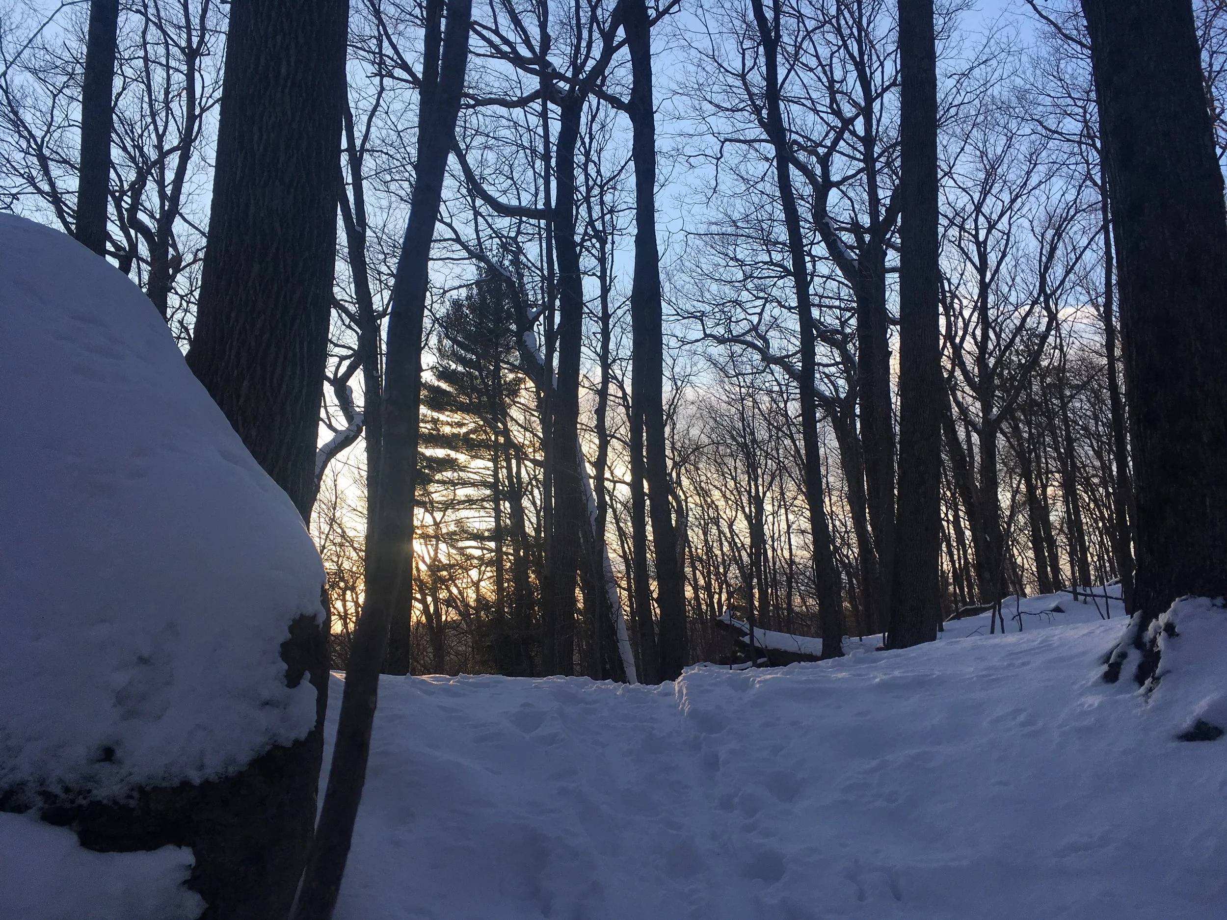 Learning to Fall: A Lighthearted Exploration of Faith