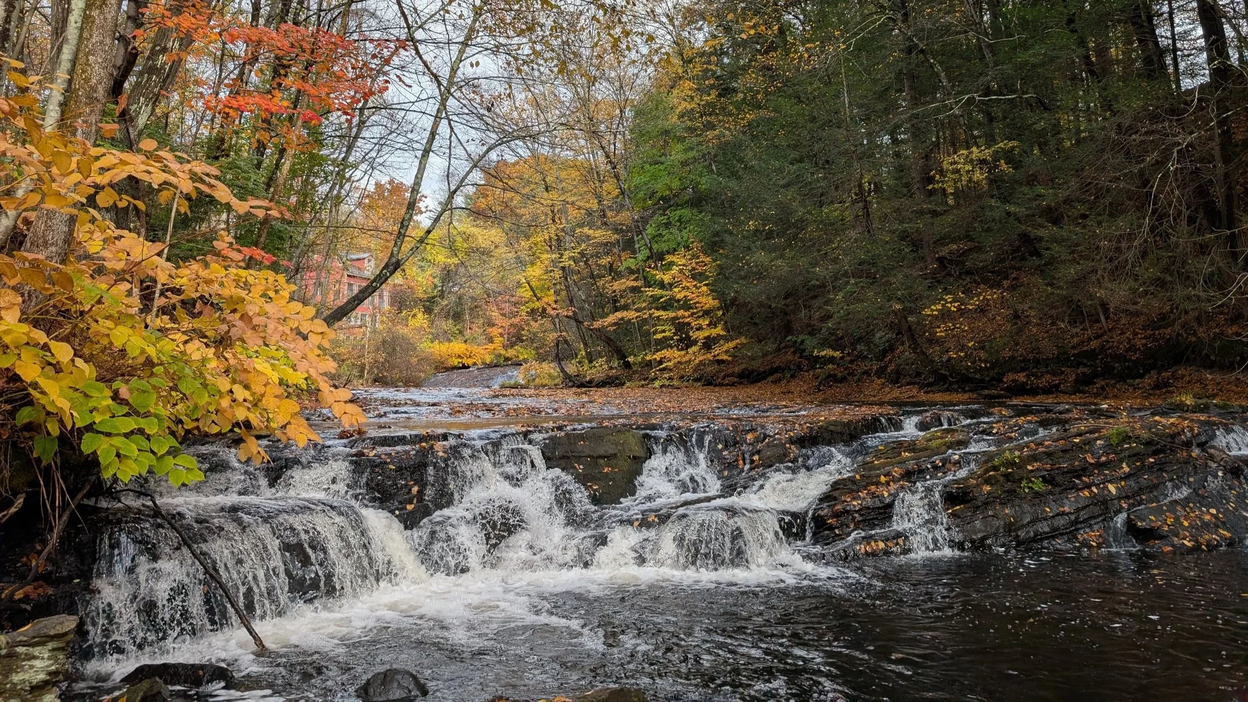 River Therapy Montague.jpg
