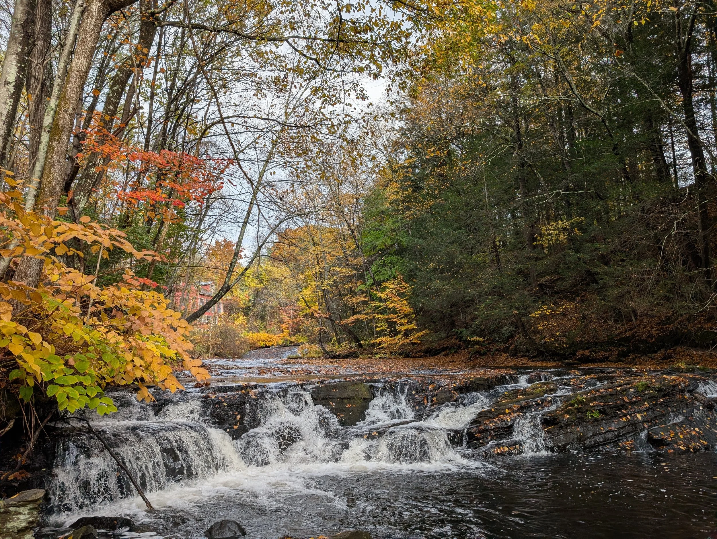River Therapy Montague.jpg