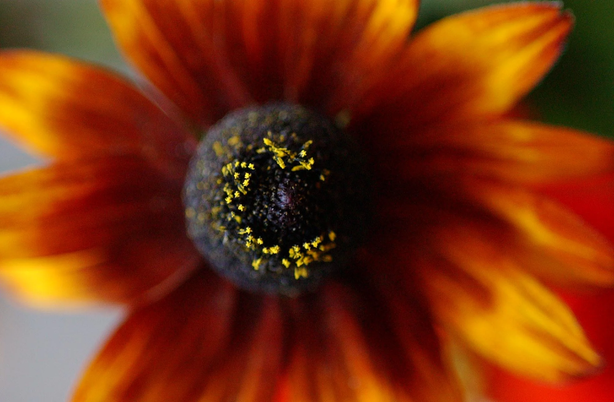 DSC_5894.jpg