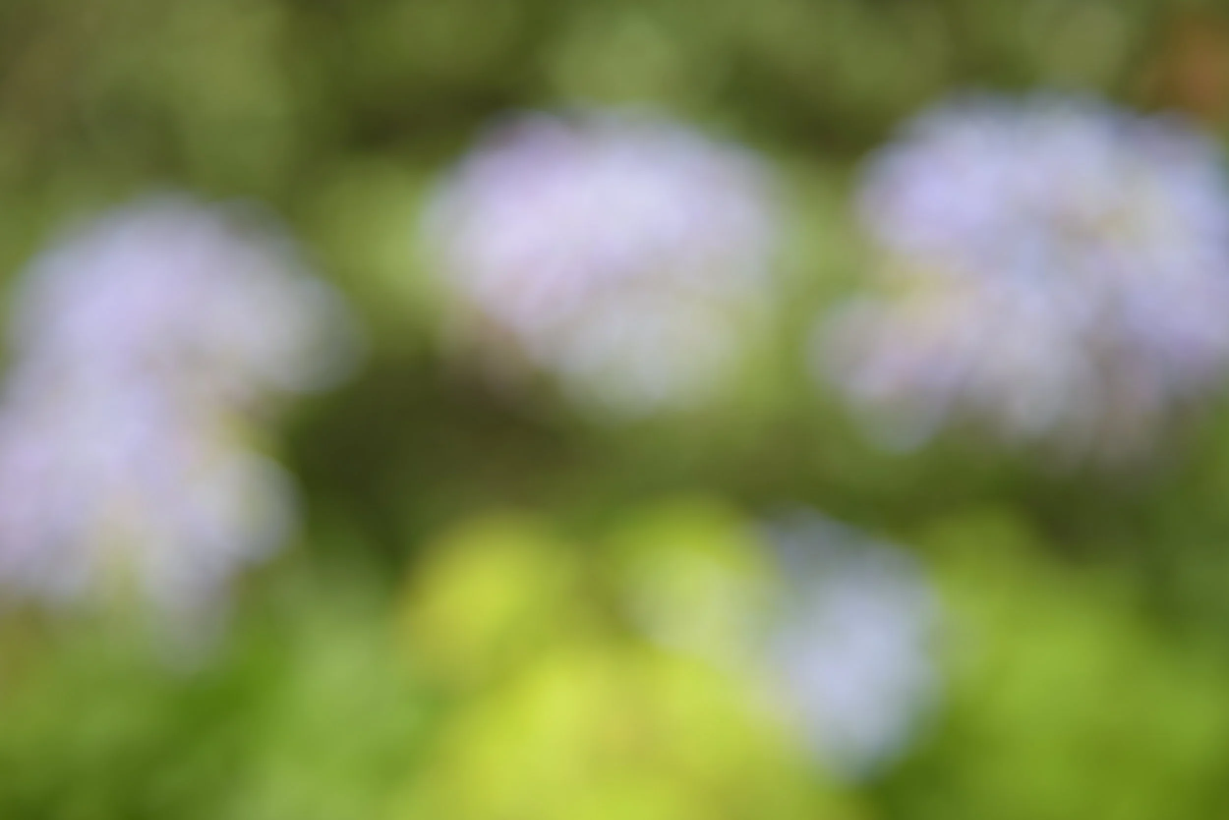 Some zoom bokeh