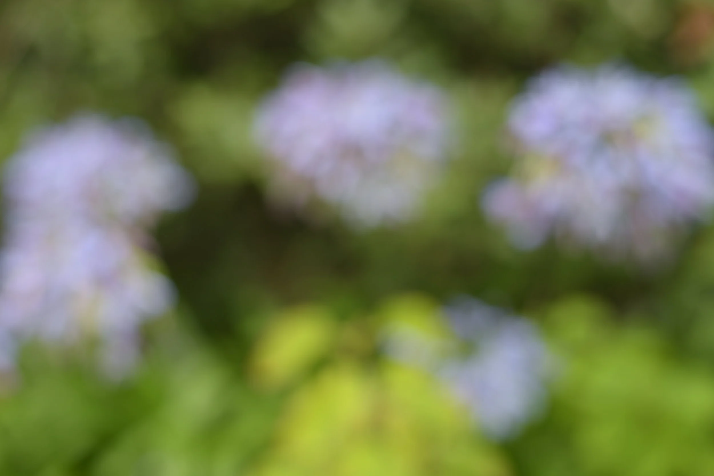 Aaand some prime bokeh