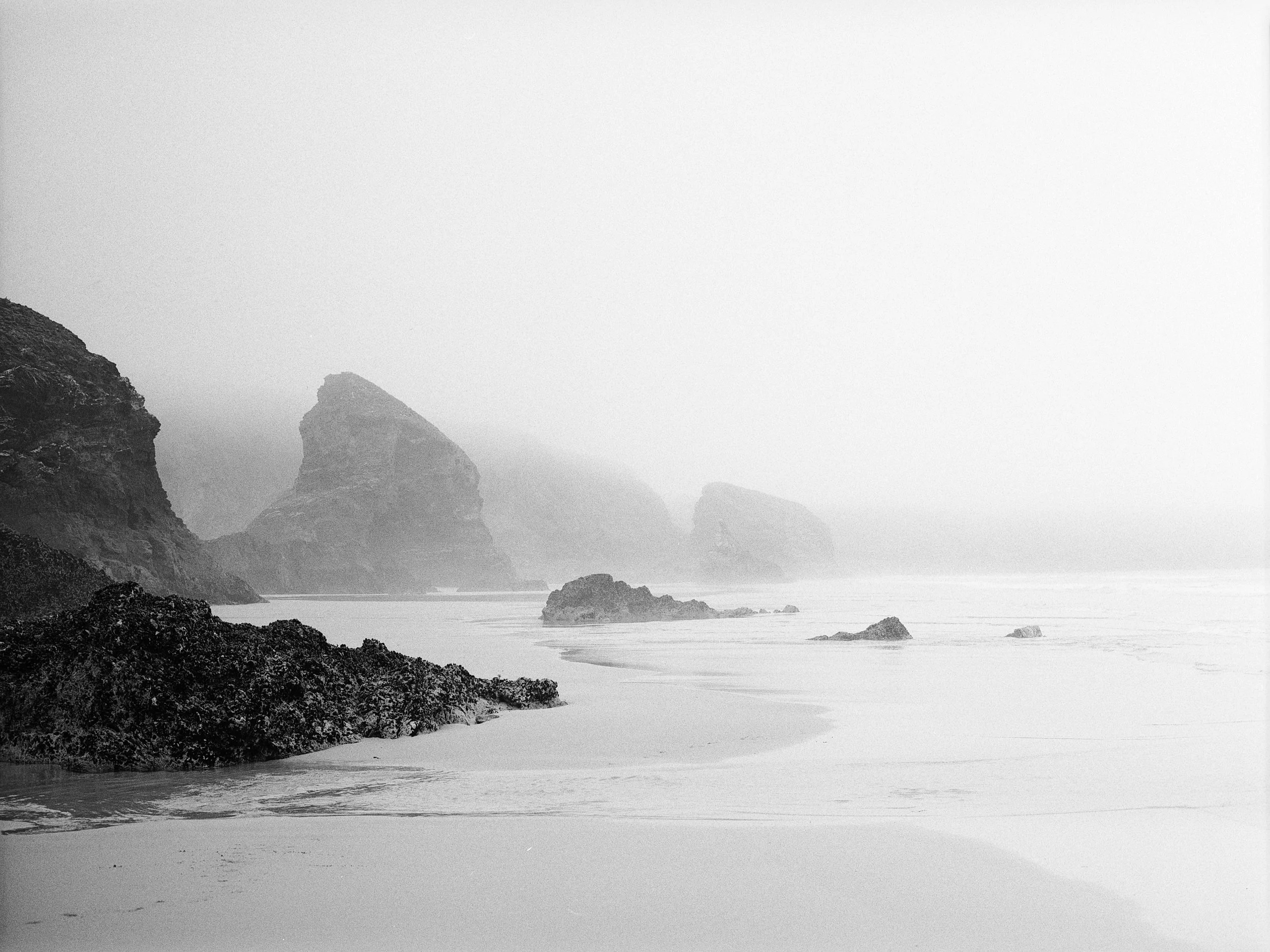 Sea Mist