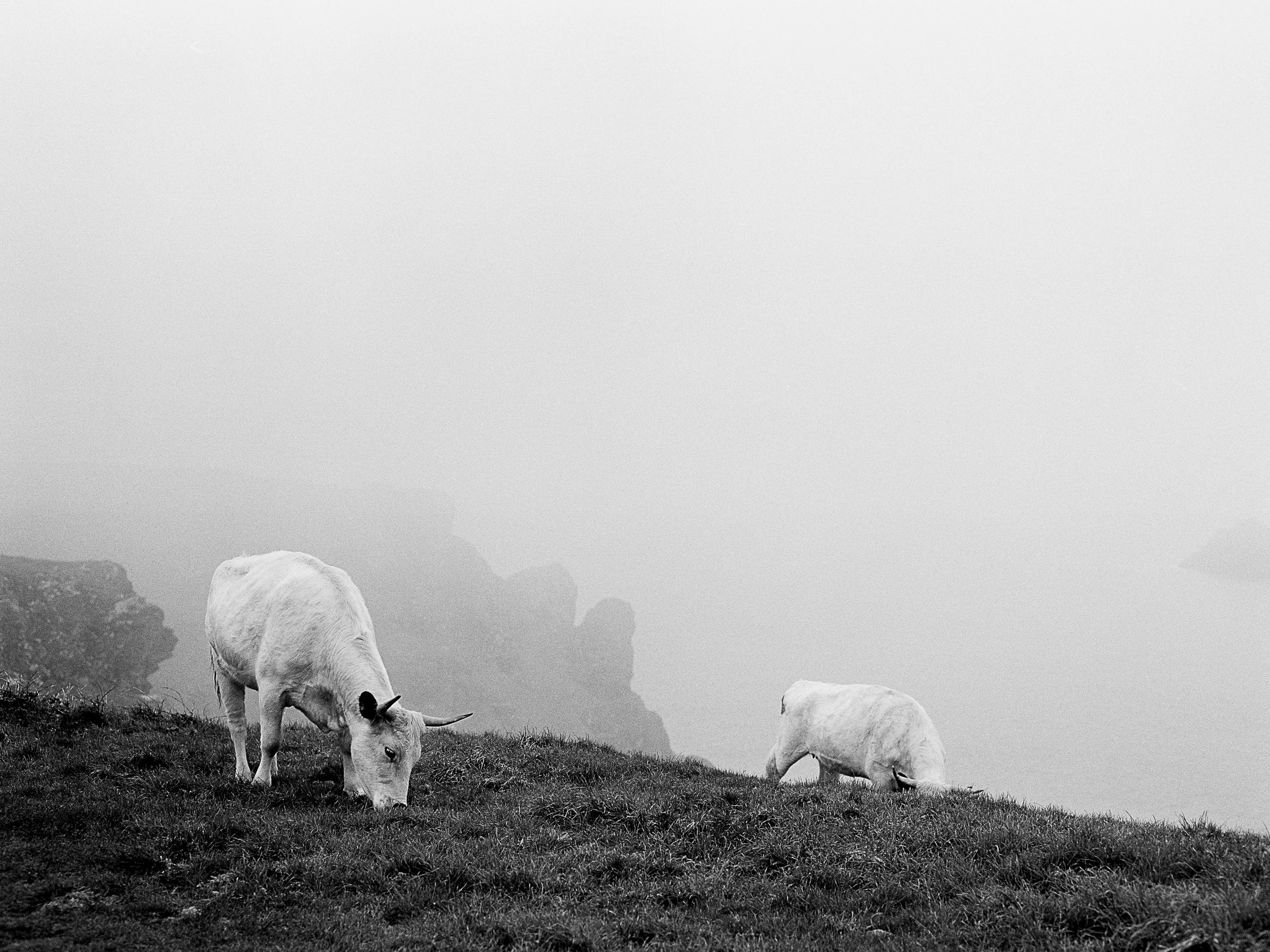 Locals