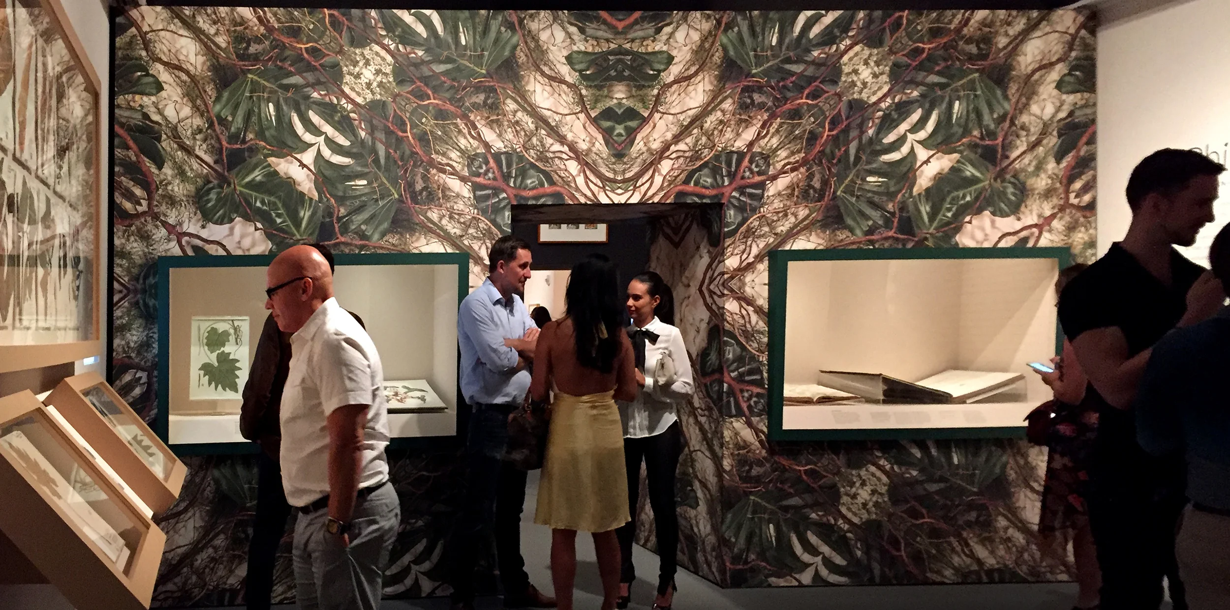 PHILODENDRON AT WOLFSONIAN