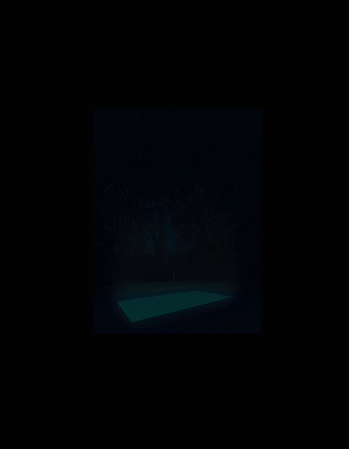 Image: Eric Beare {Nocturnal Emissions}