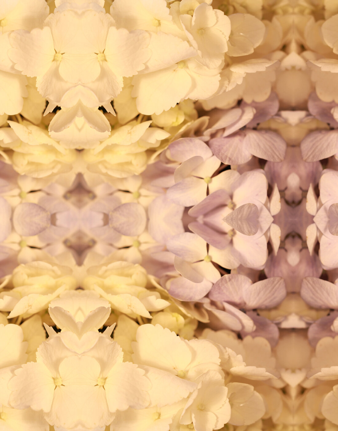 PAYS MODERNE 3 MEDIUM SCALE 14 INCH REPEAT .jpg