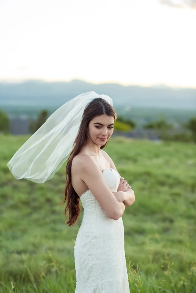 blusher veil