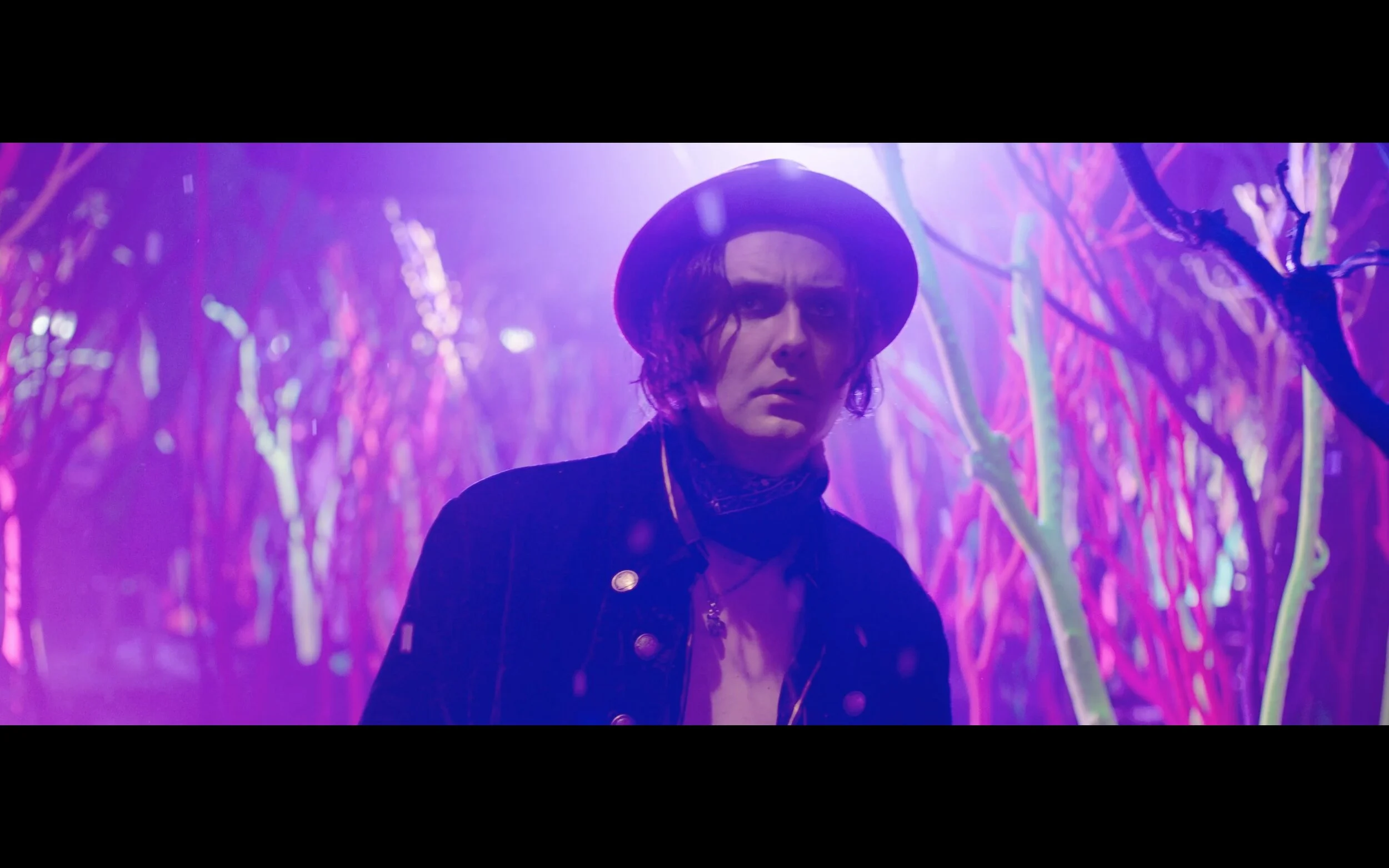 Screen Shot 2019-09-19 at 3.16.49 PM.jpg