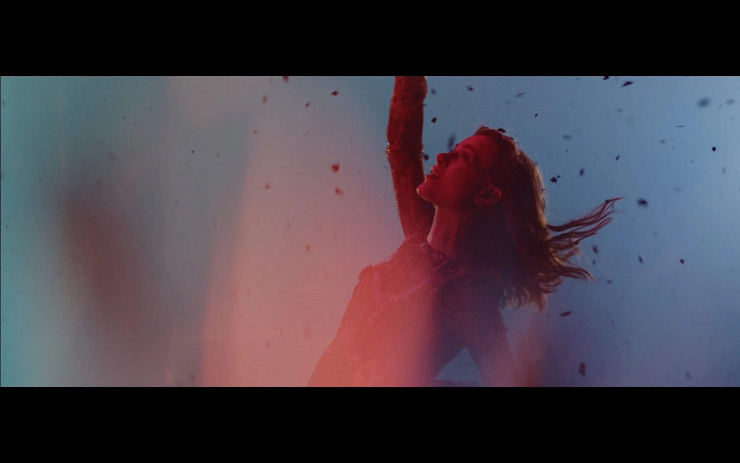 Screen Shot 2019-09-19 at 3.14.59 PM.jpg