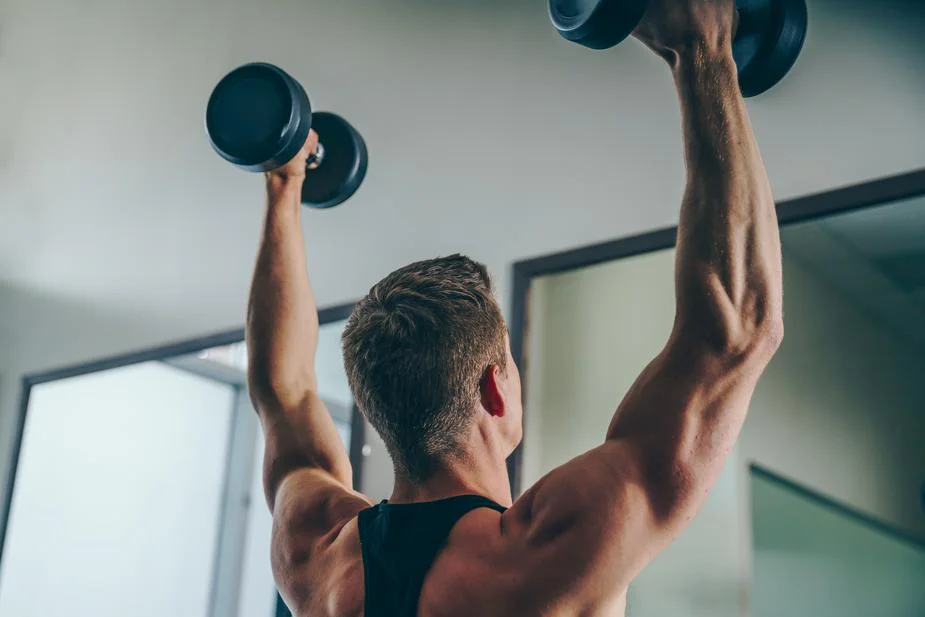 arm-back-muscles_925x.jpg