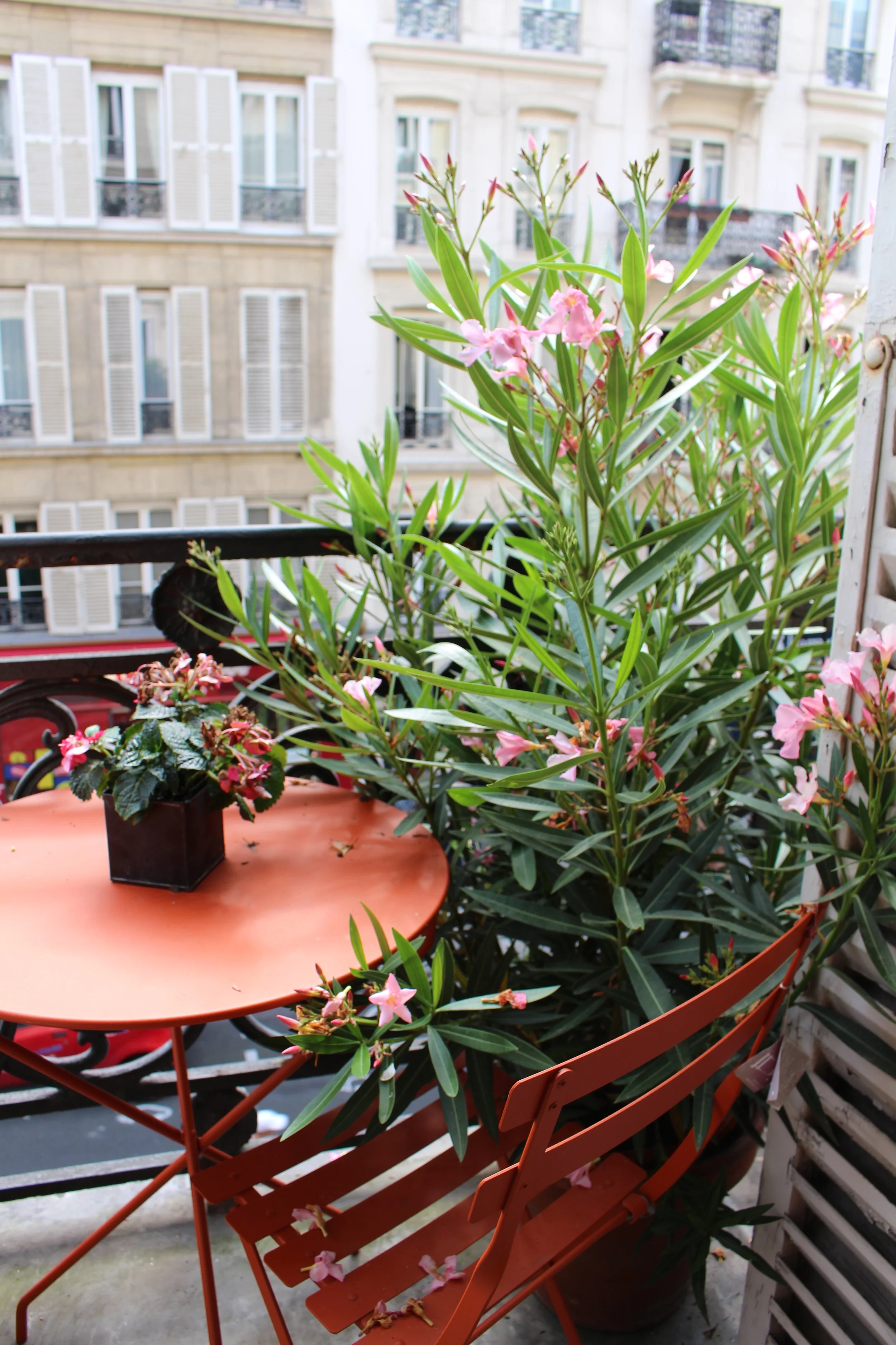 Parisian style at it's finest. 
