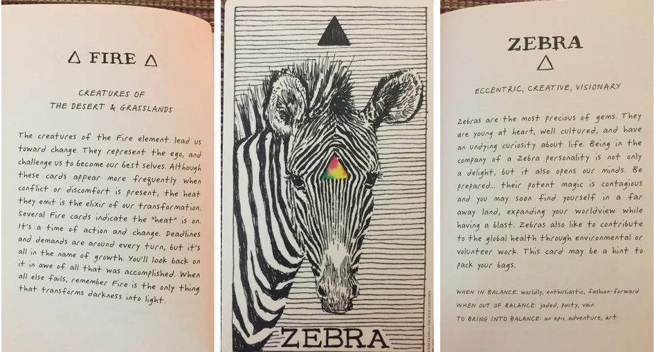 Zebra Card.jpg