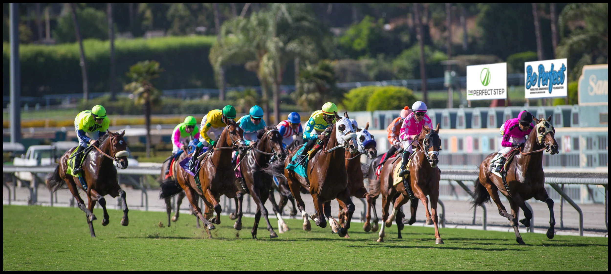 BP 8.0 "A Day at The Races" a Huge Success