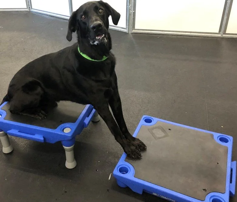 8.4.22 040 - Copy.JPG