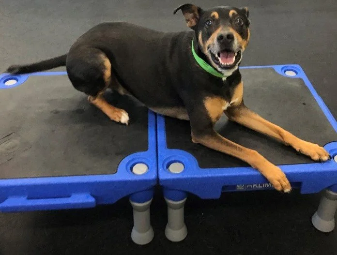 8.4.22 043 - Copy.JPG