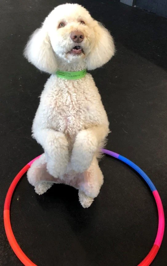 8.4.22 050 - Copy.JPG