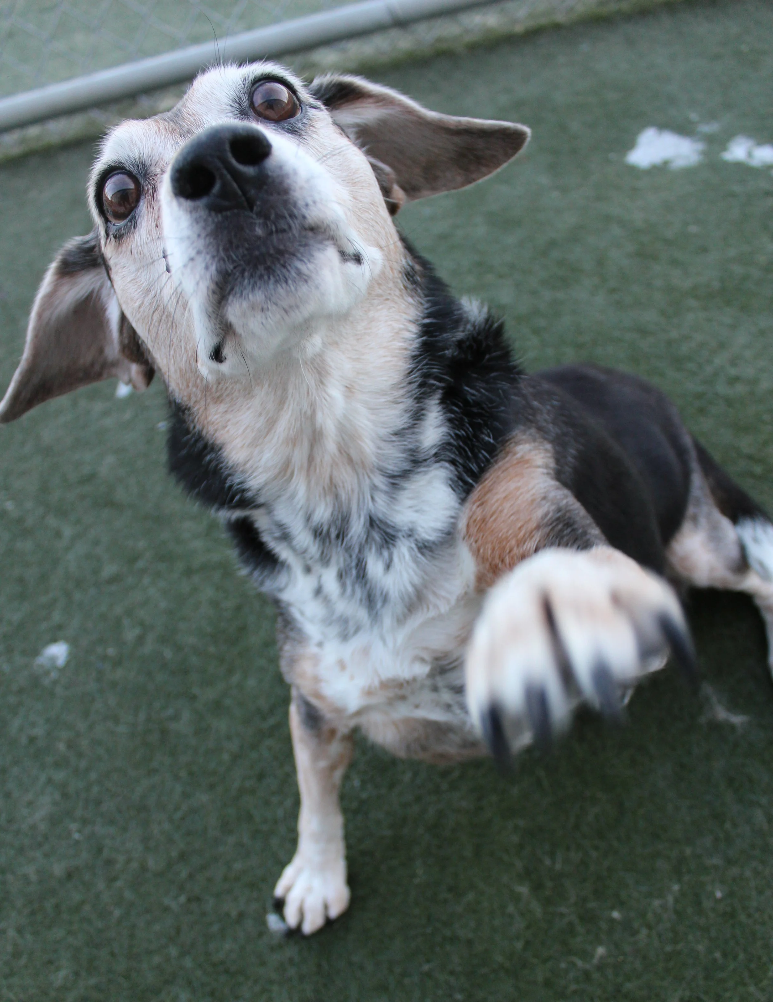 Website Photos 746.JPG