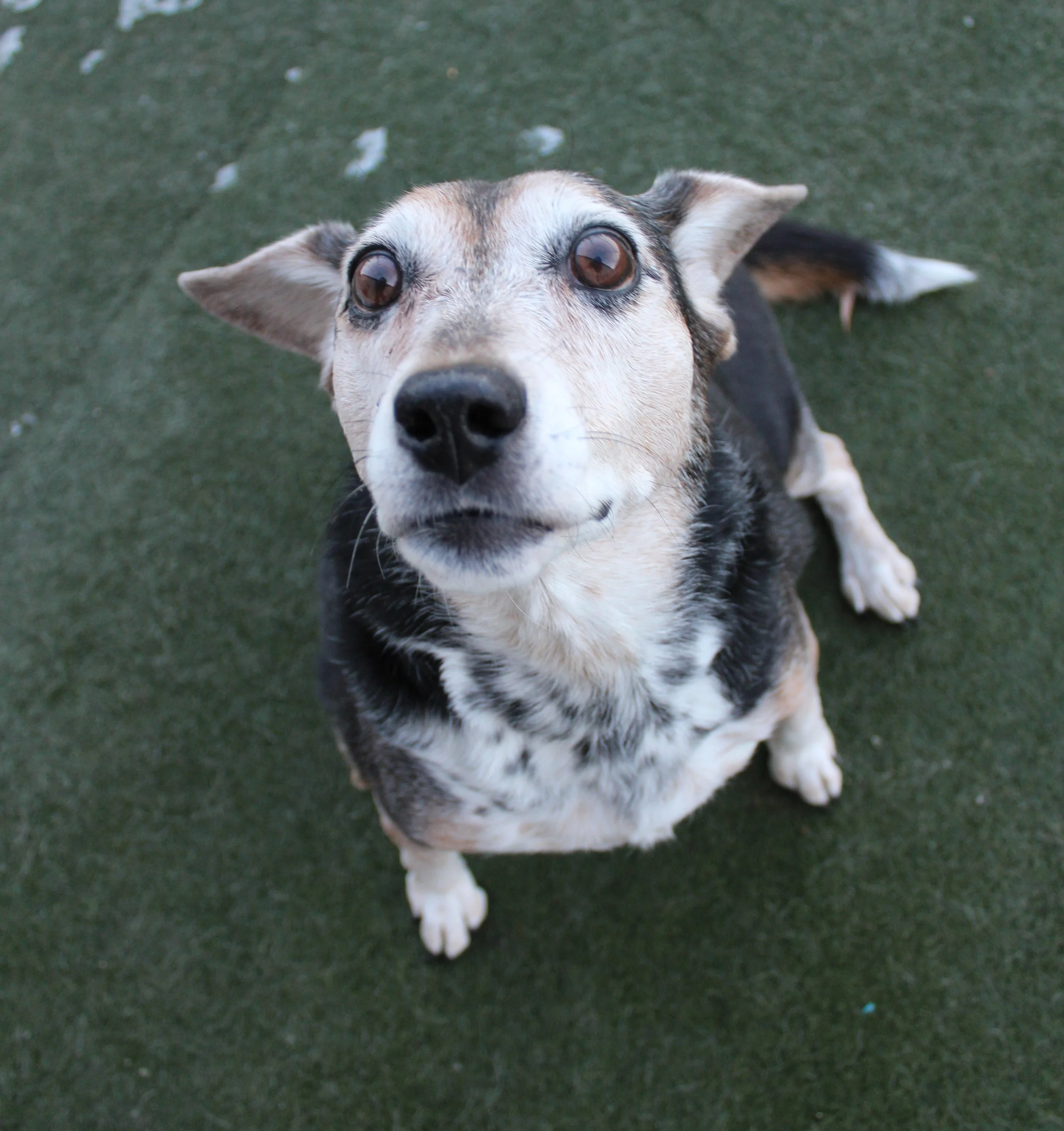 Website Photos 749.JPG