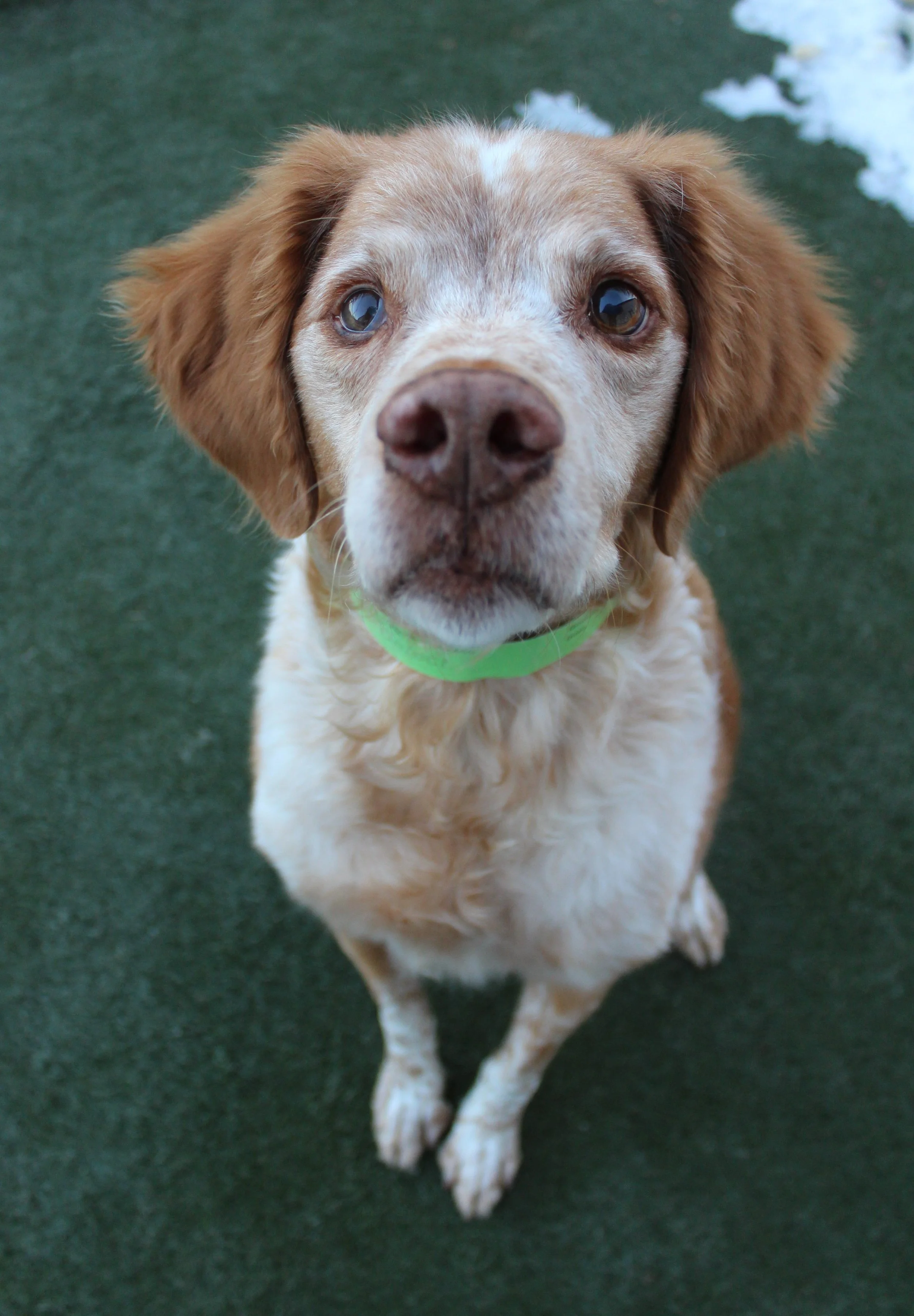 Website Photos 750.JPG