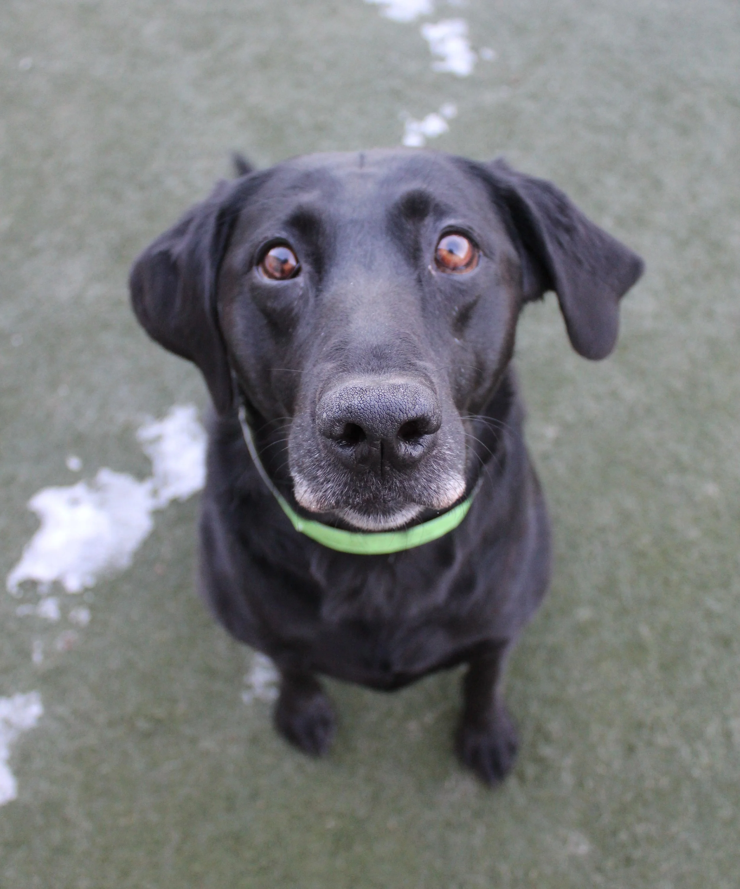 Website Photos 753.JPG