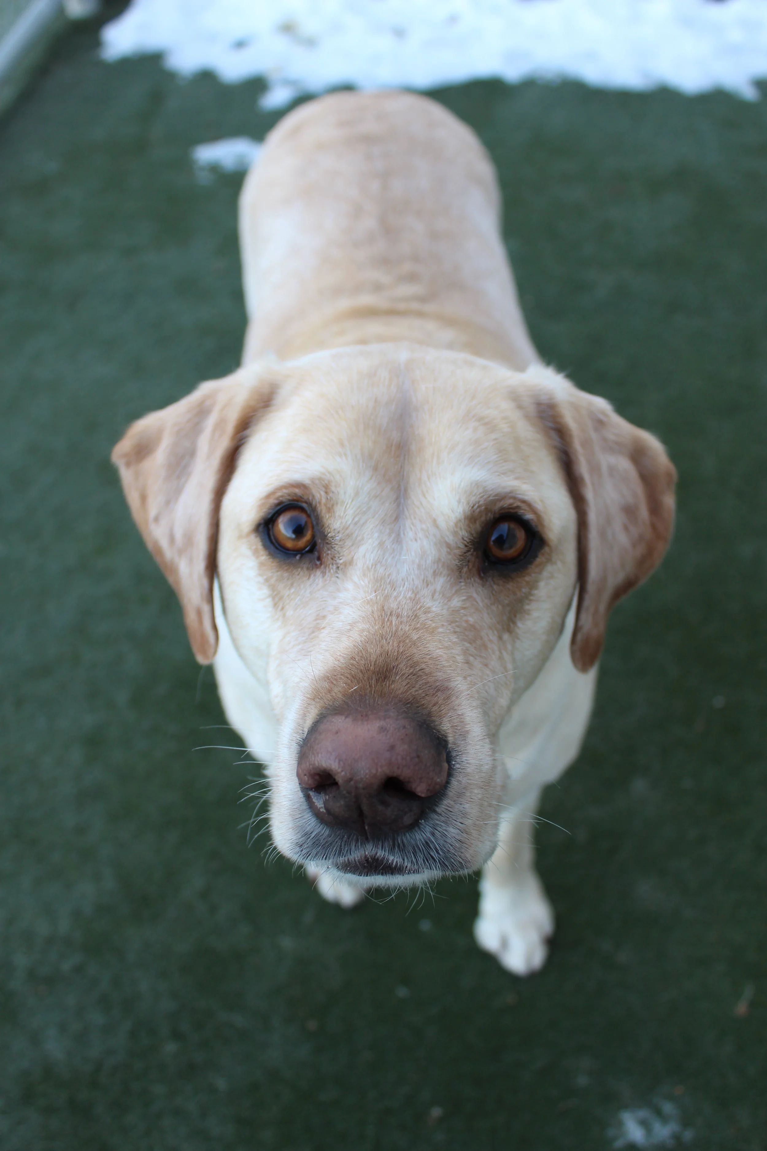 Website Photos 756.JPG