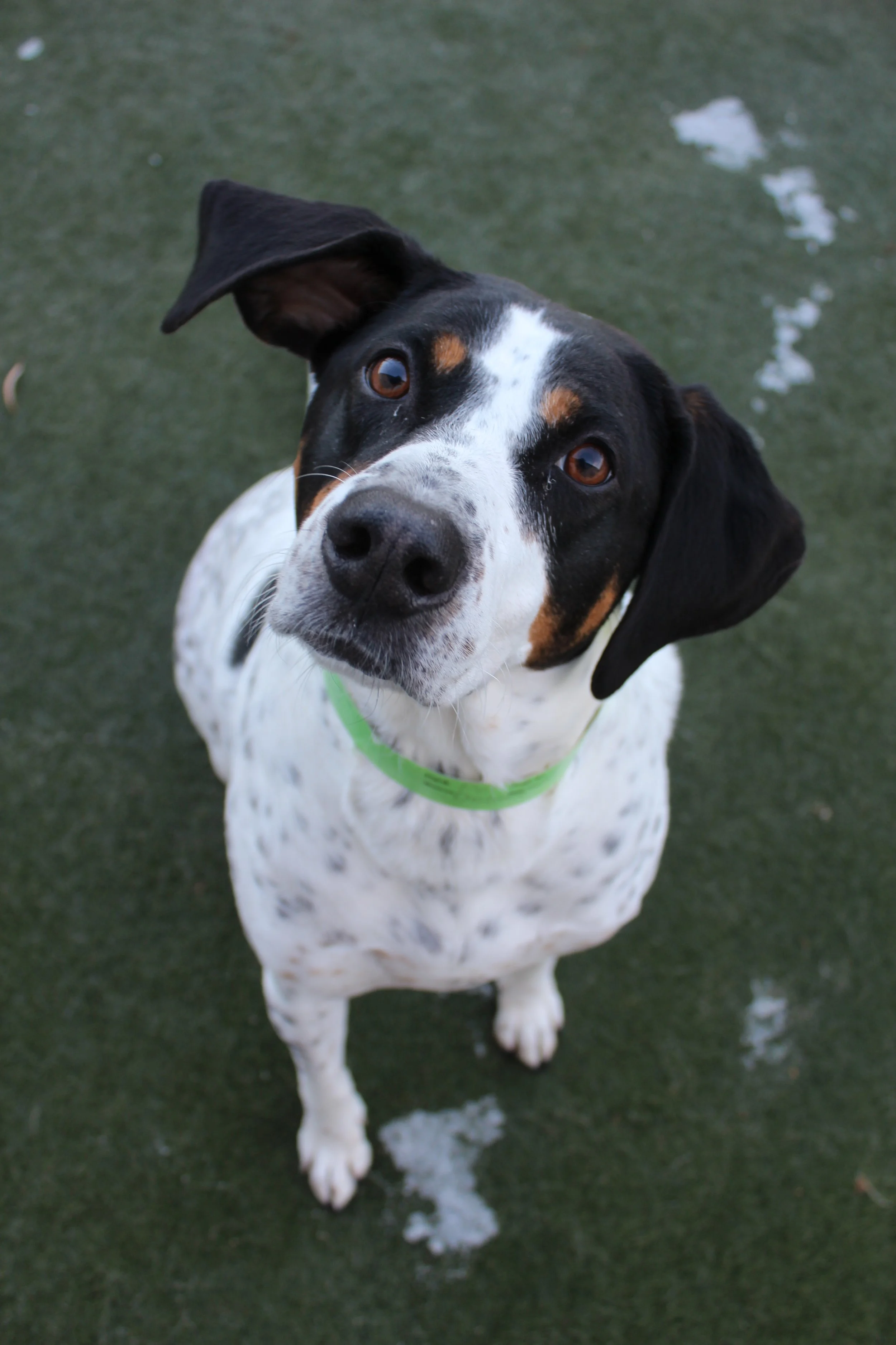 Website Photos 765.JPG