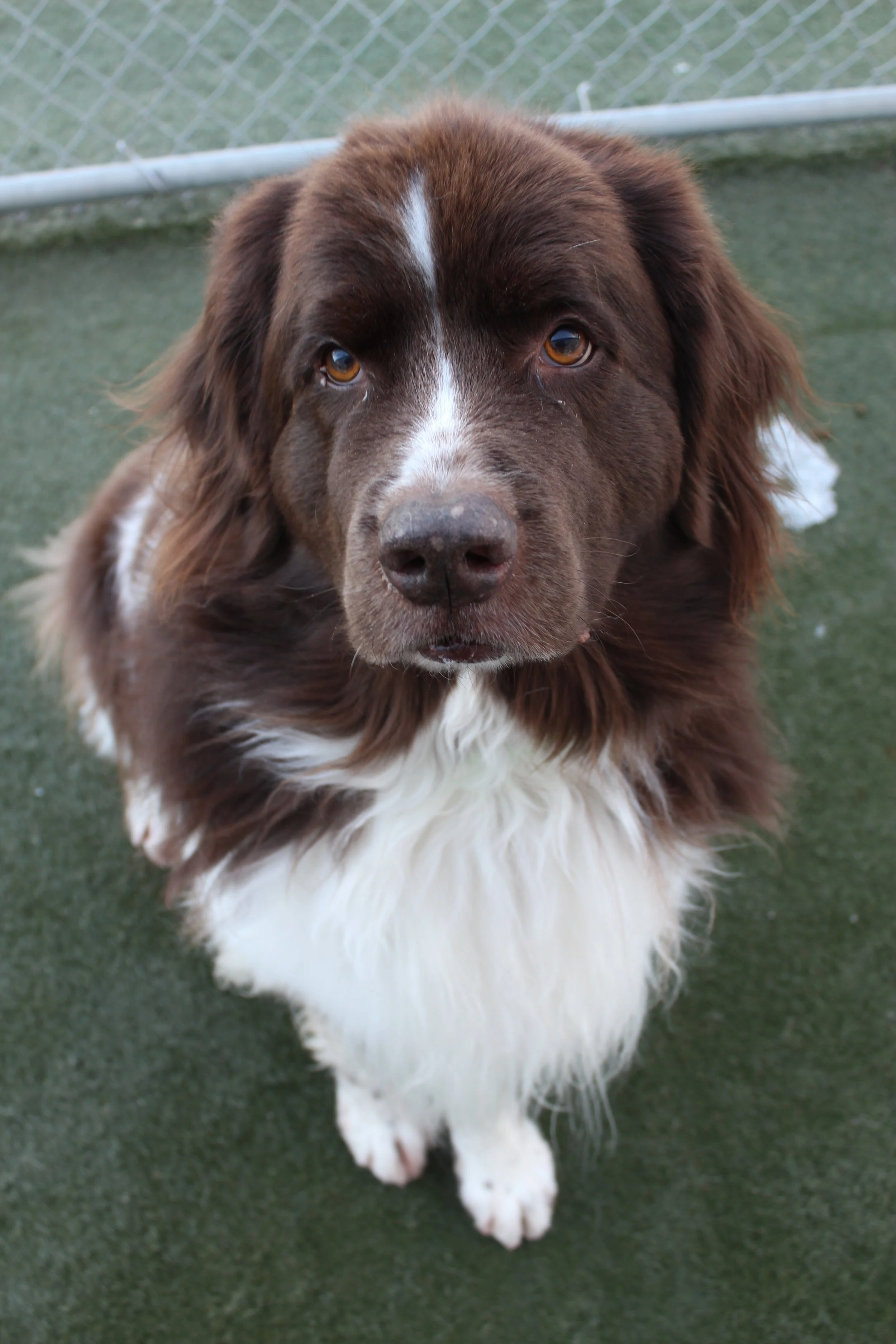 Website Photos 768.JPG