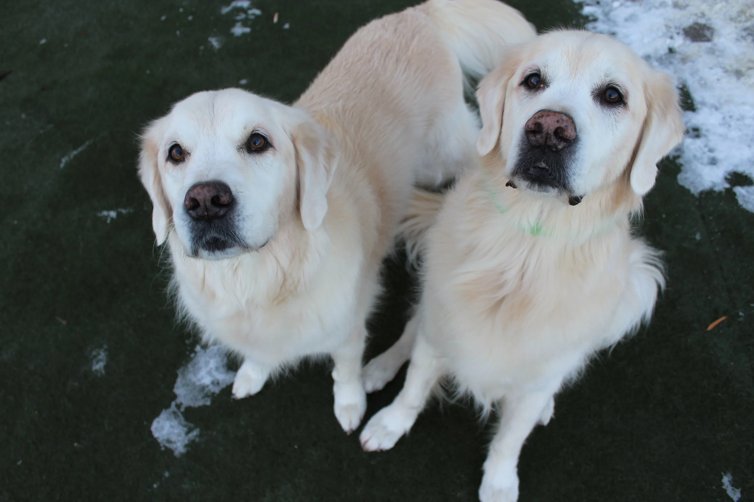 Website Photos 772.JPG