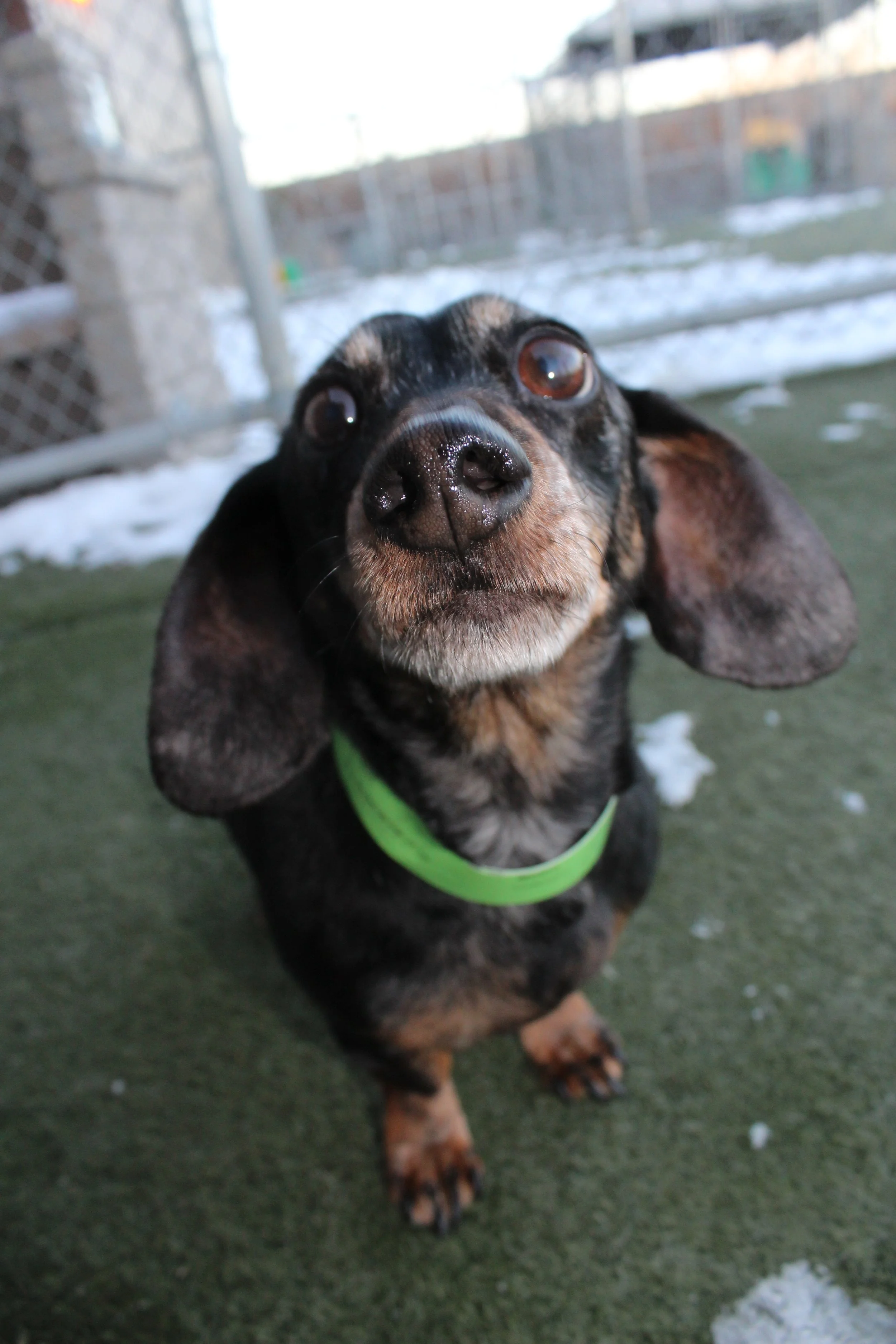 Website Photos 774.JPG