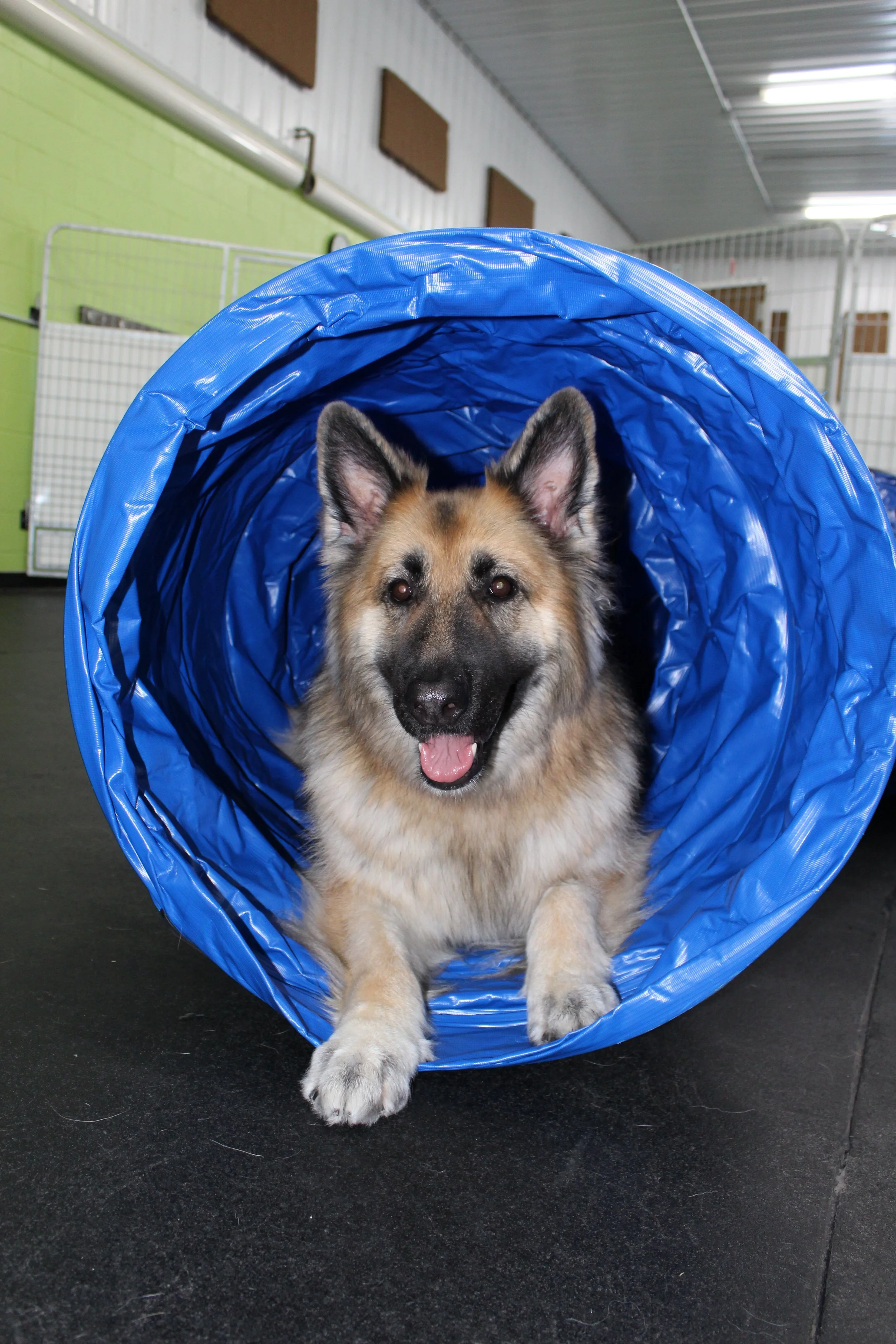 Website Photos 063.JPG