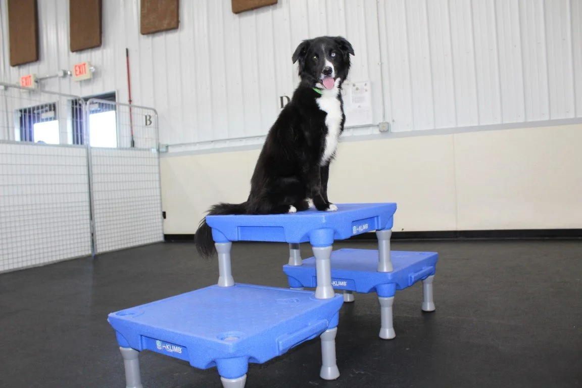 Website Photos 073.JPG