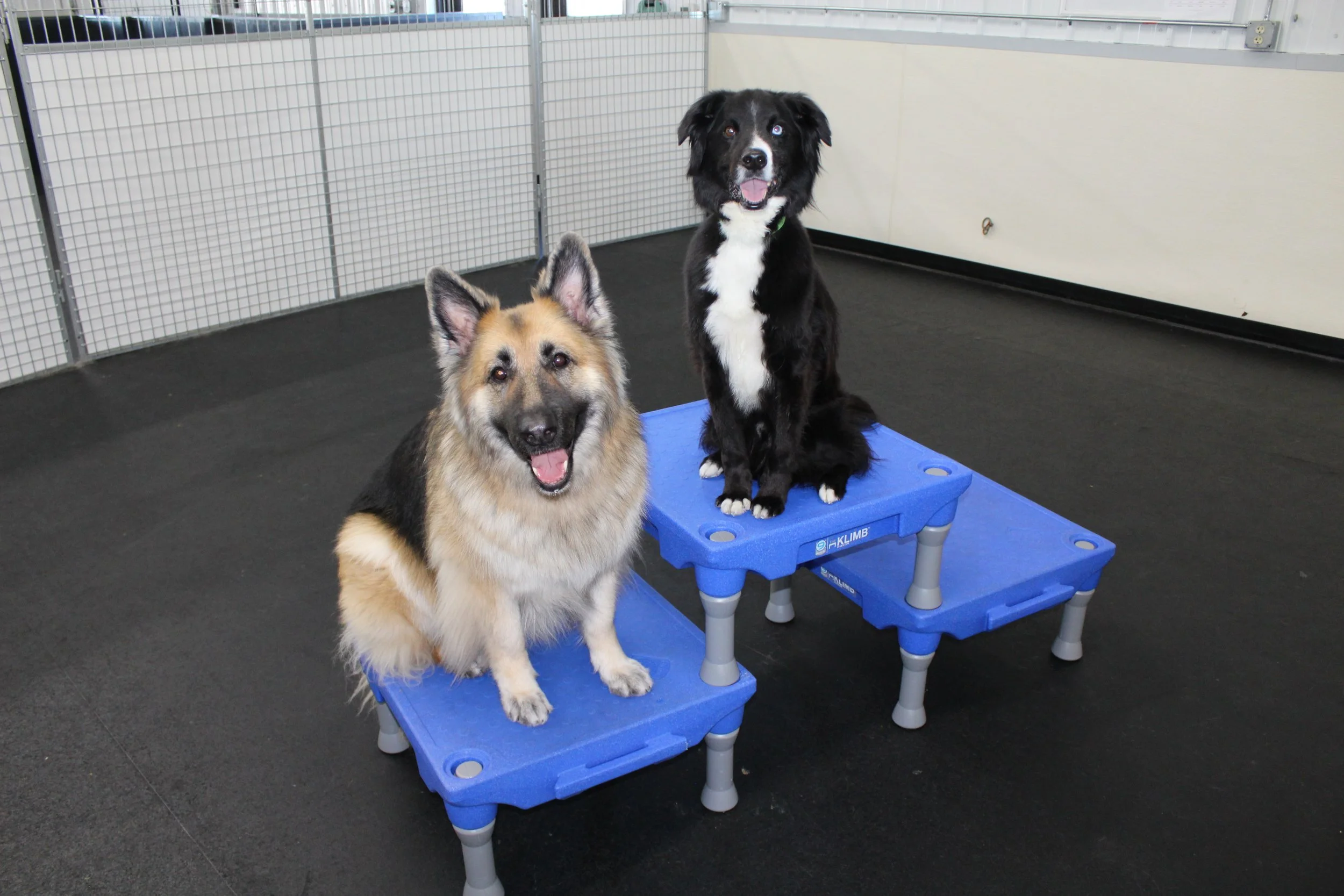 Website Photos 085.JPG