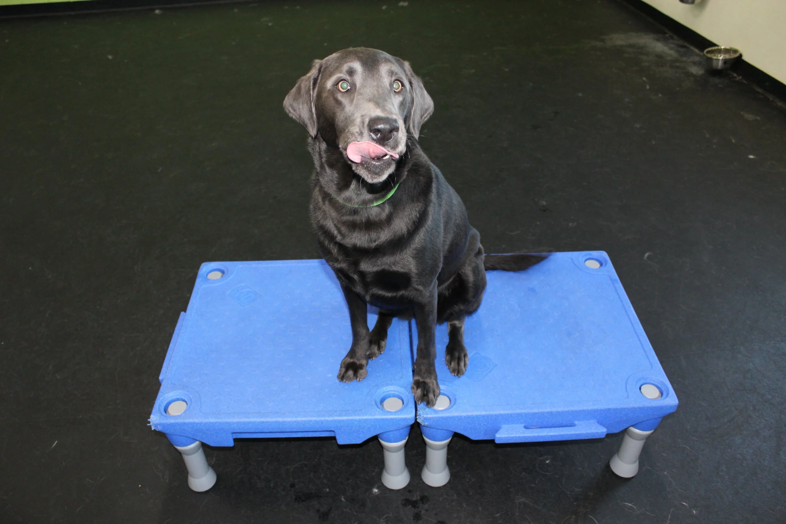 Website Photos 101.JPG