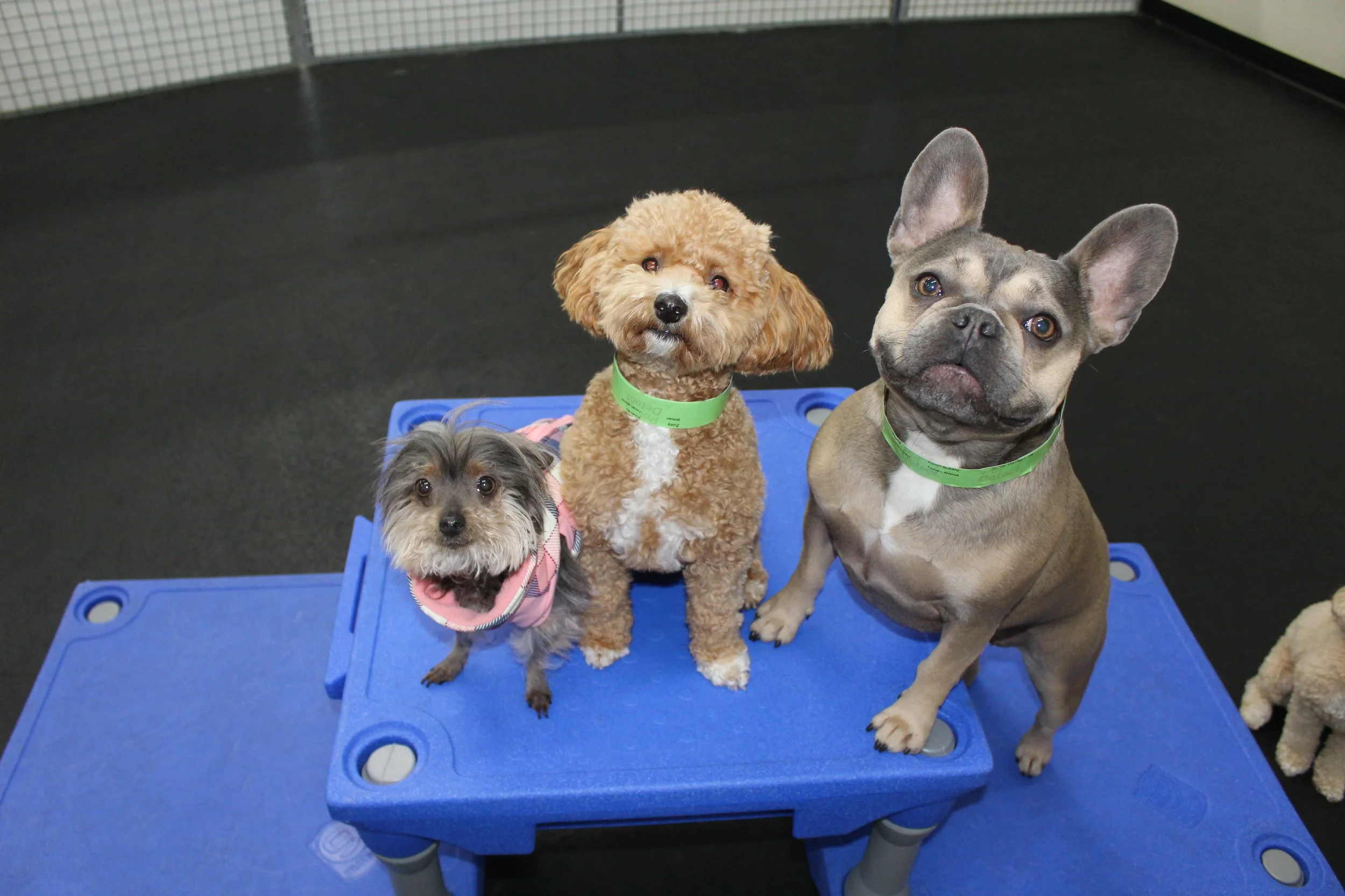 Website Photos 274.JPG