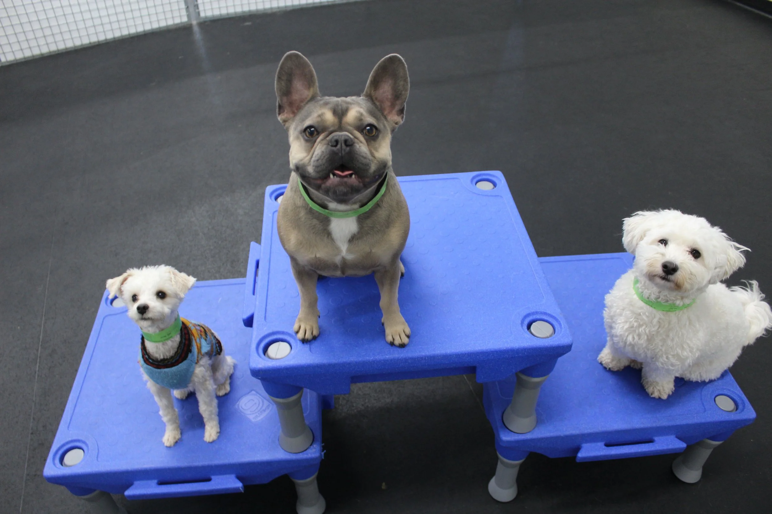 Website Photos 279.JPG